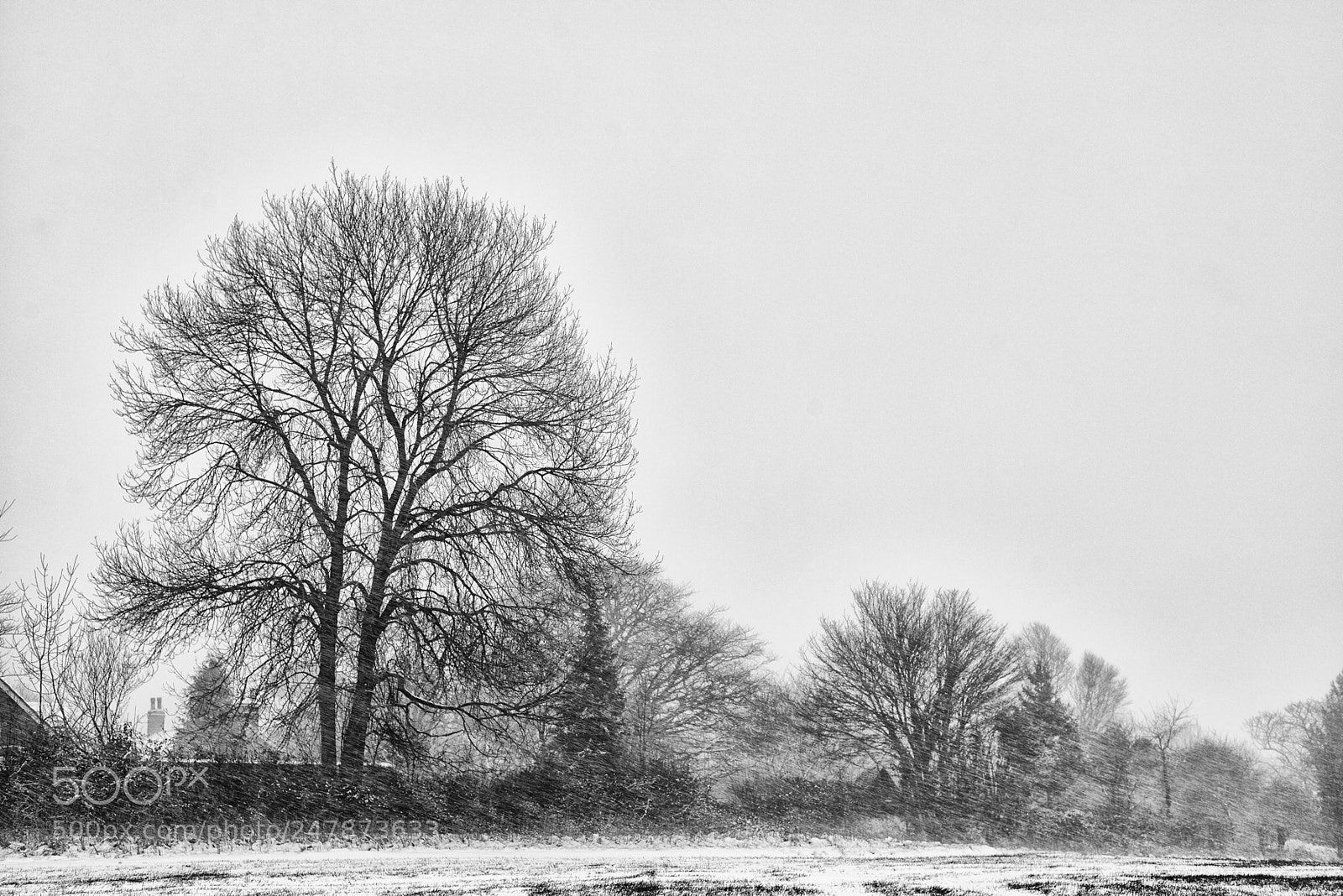 Nikon D800 sample photo. Cold 'n' windy photography