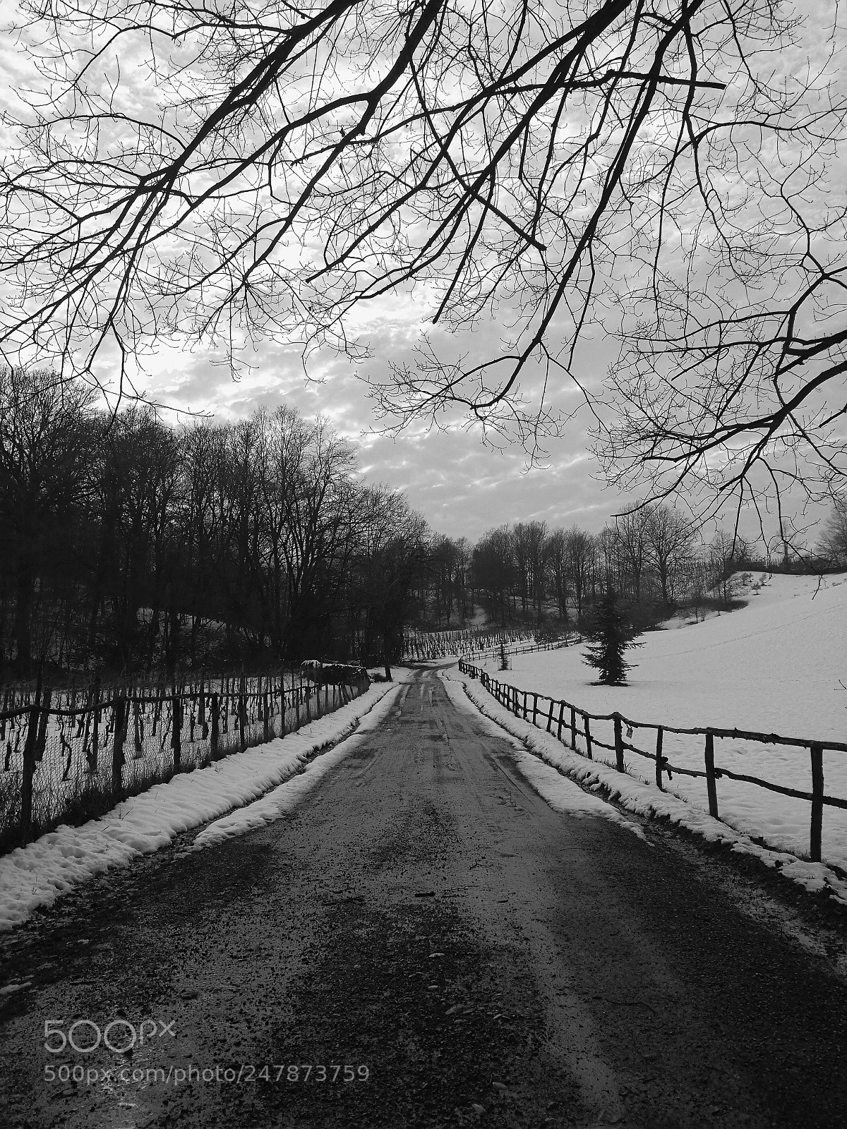 HUAWEI P9 sample photo. Find your way photography