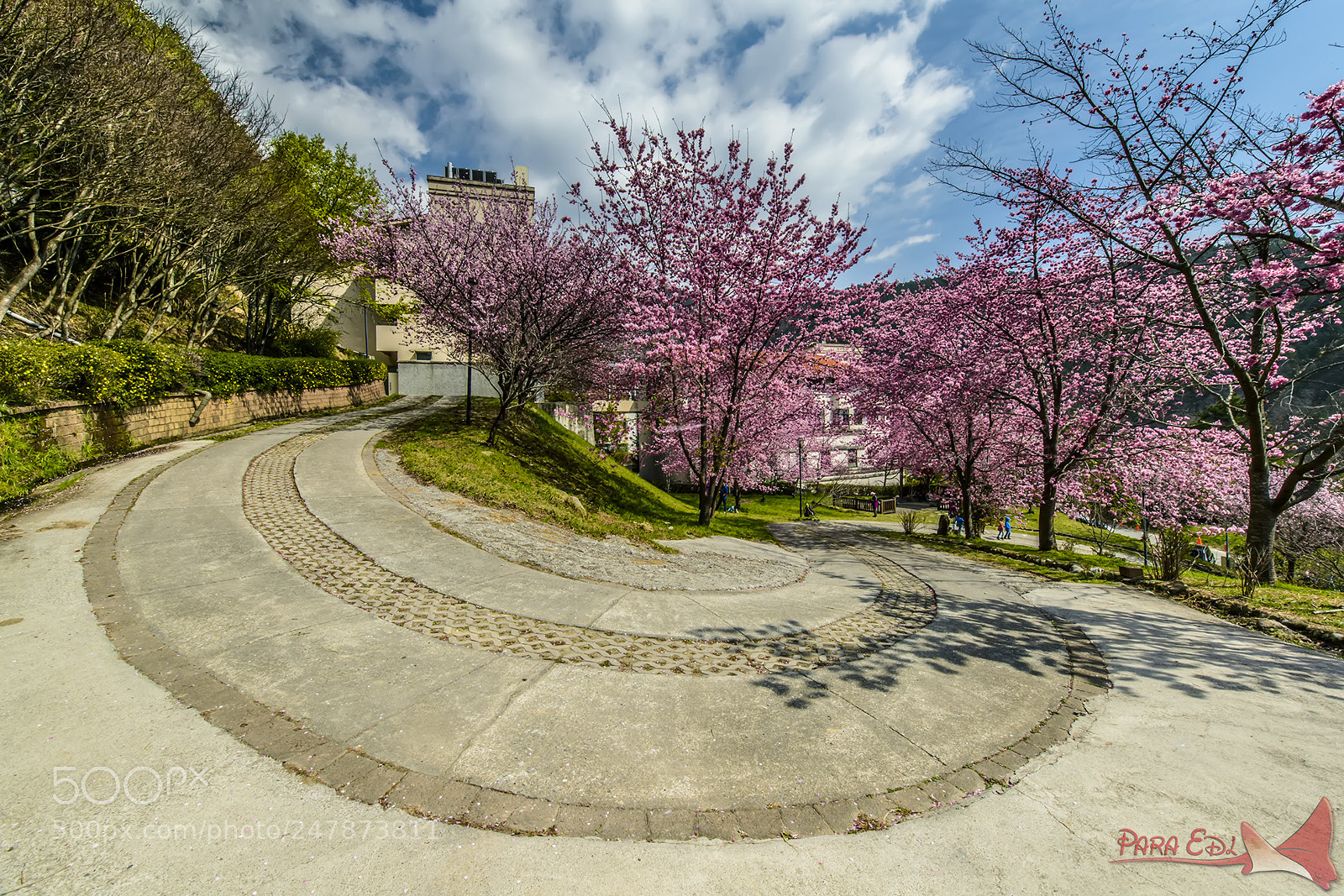 Nikon D800E sample photo. Wu-ling-farm photography