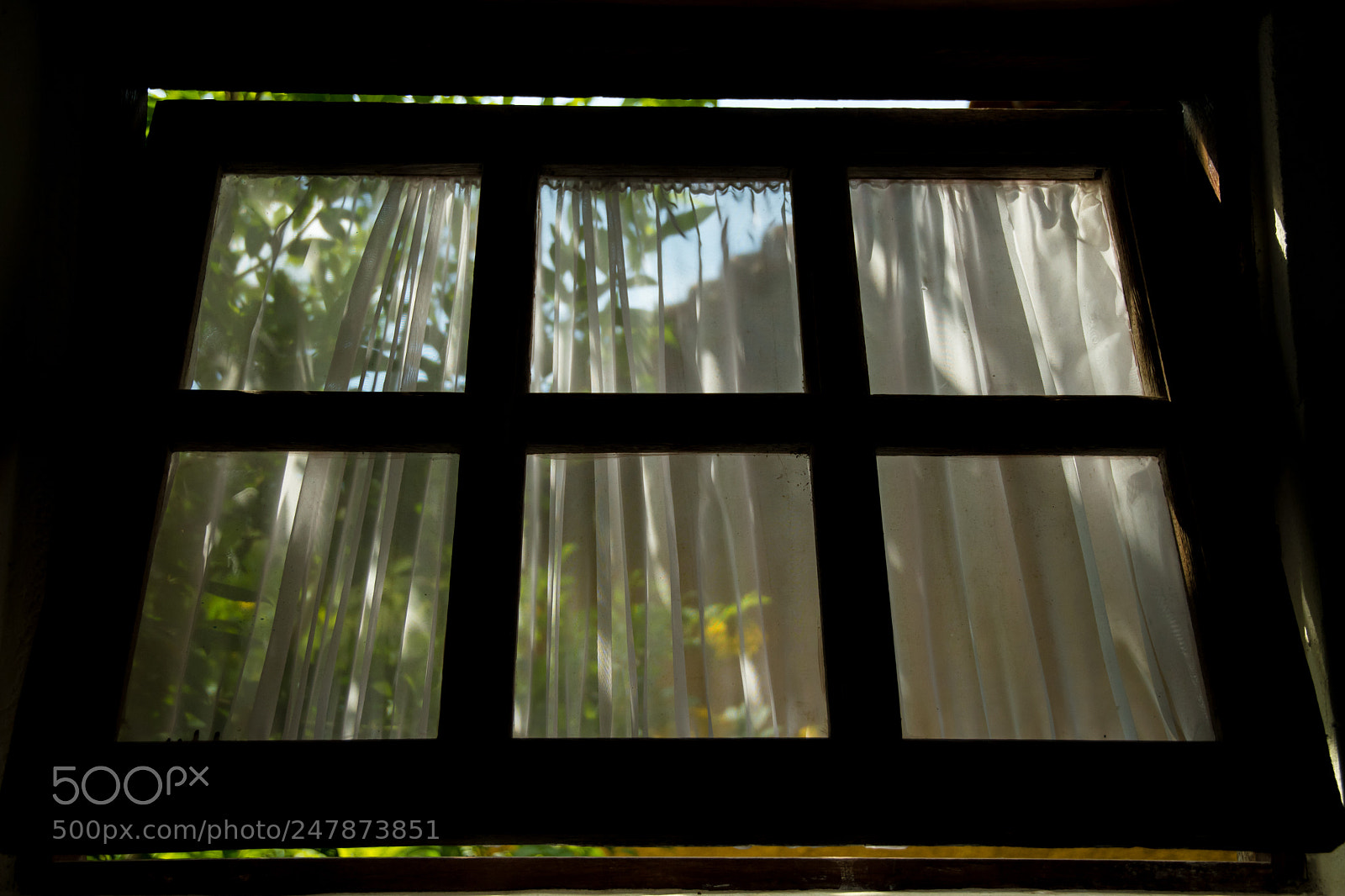 Nikon D7500 sample photo. Window photography