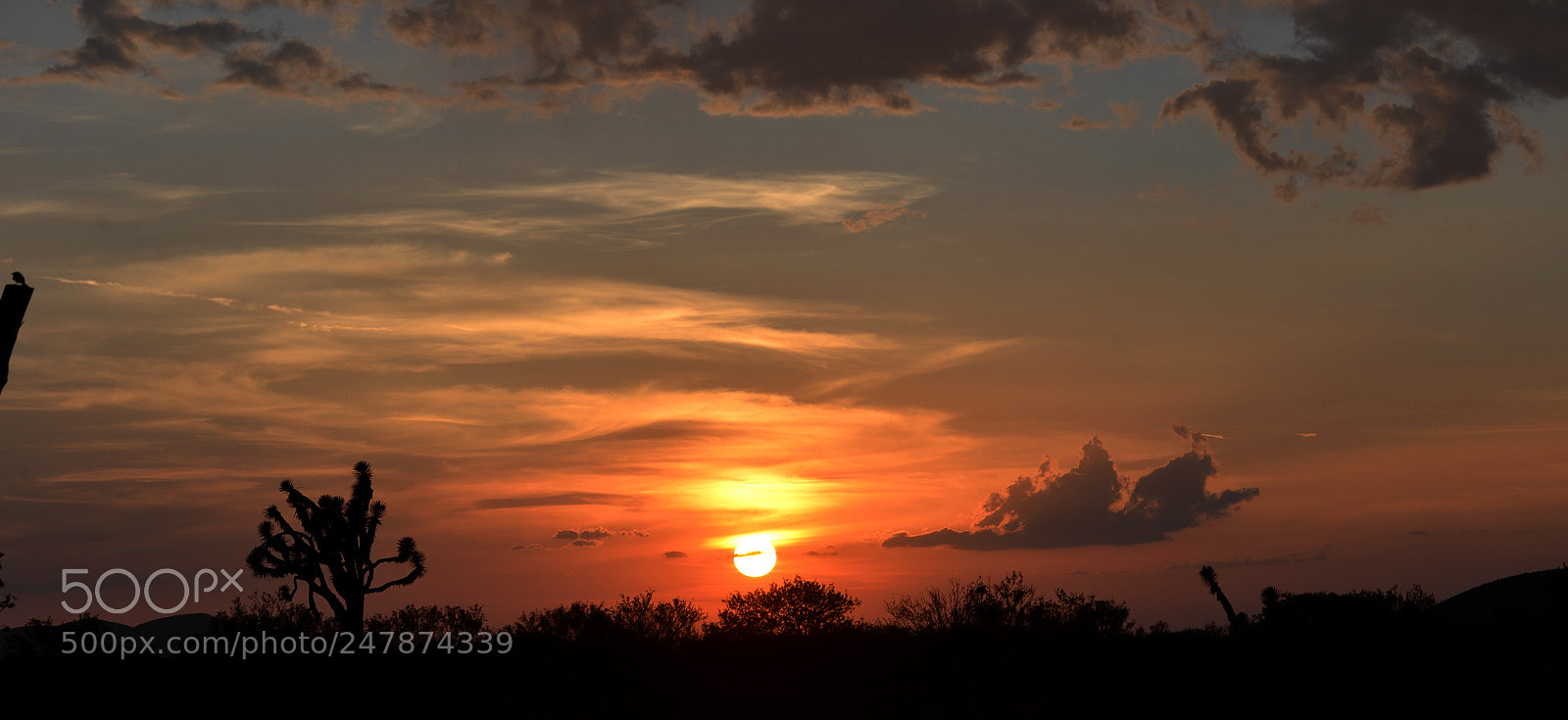 Nikon D800 sample photo. Sunset photography