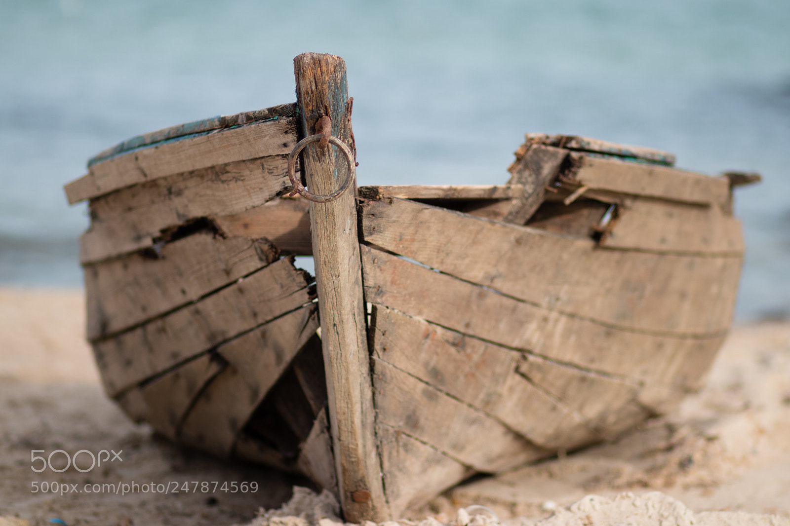 Canon EOS 80D sample photo. Img photography