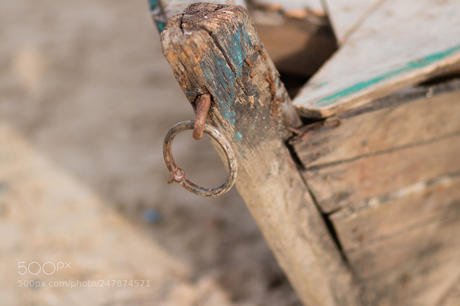Canon EOS 80D sample photo. Img photography