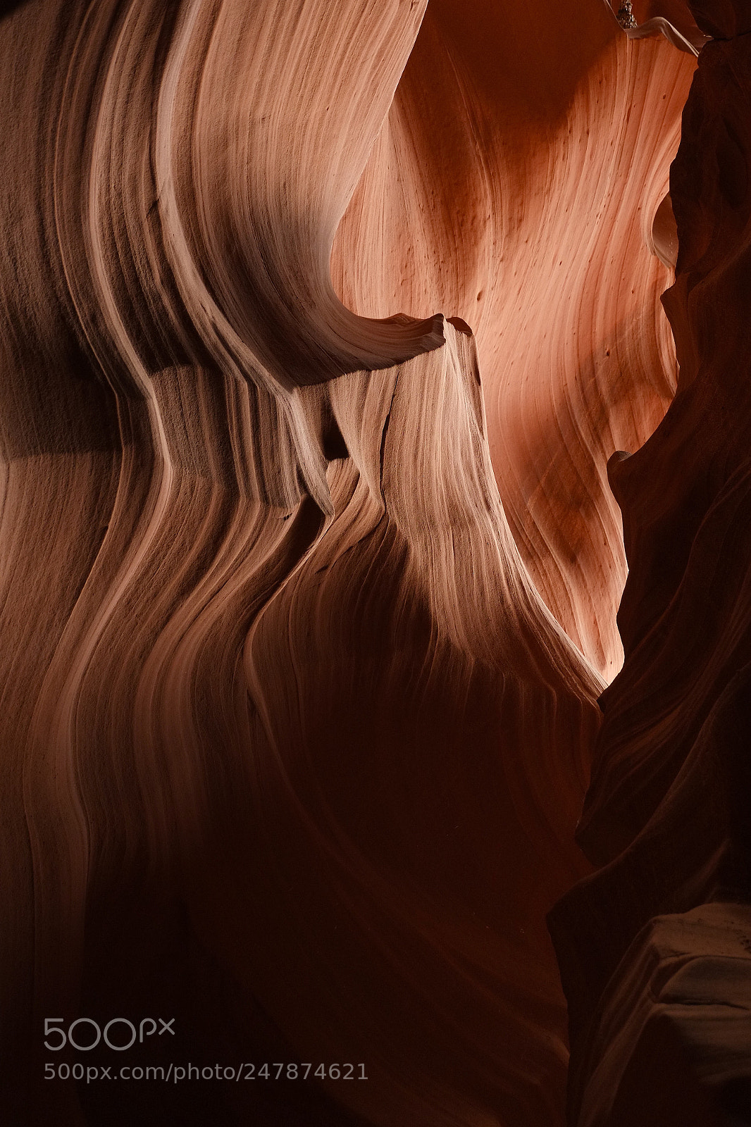 Fujifilm X-Pro1 sample photo. Swirls photography