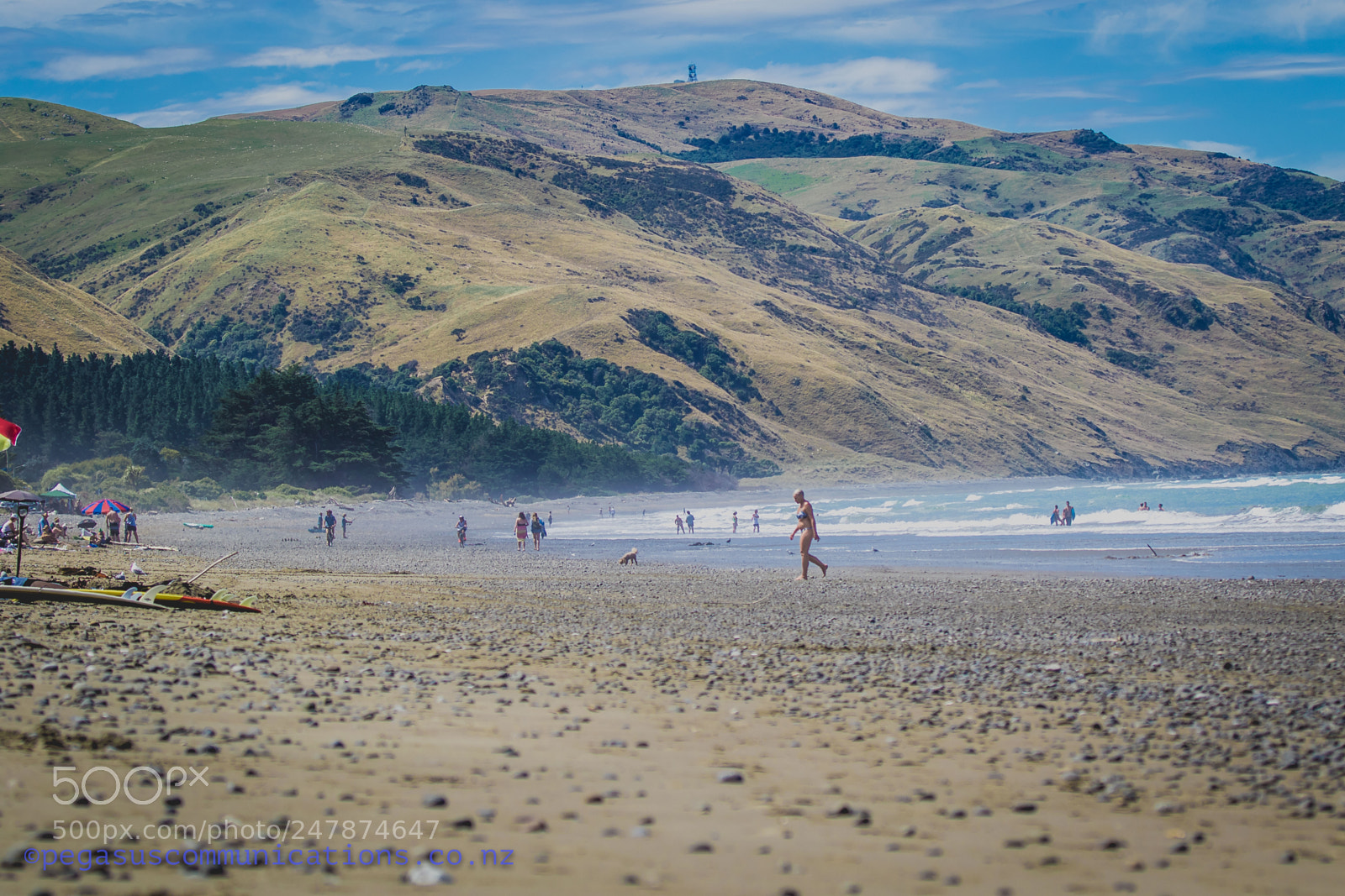 Canon EOS 7D Mark II sample photo. Cheviot jan photography