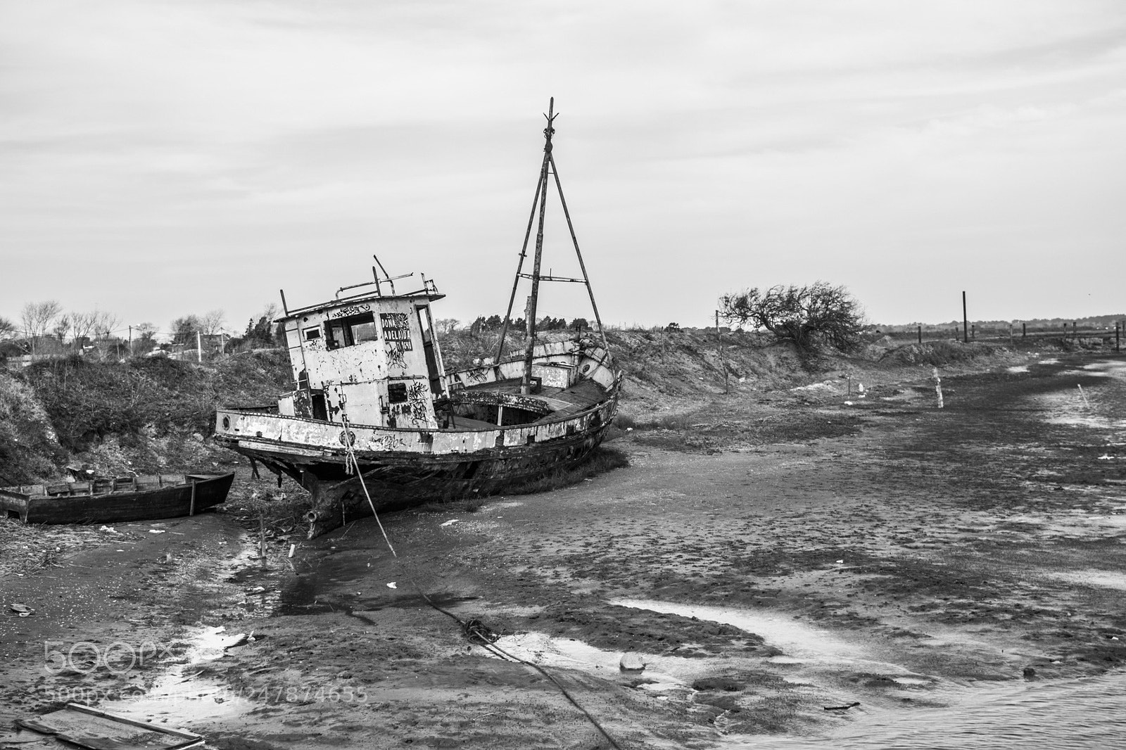 Nikon D5500 sample photo. ⛵ photography