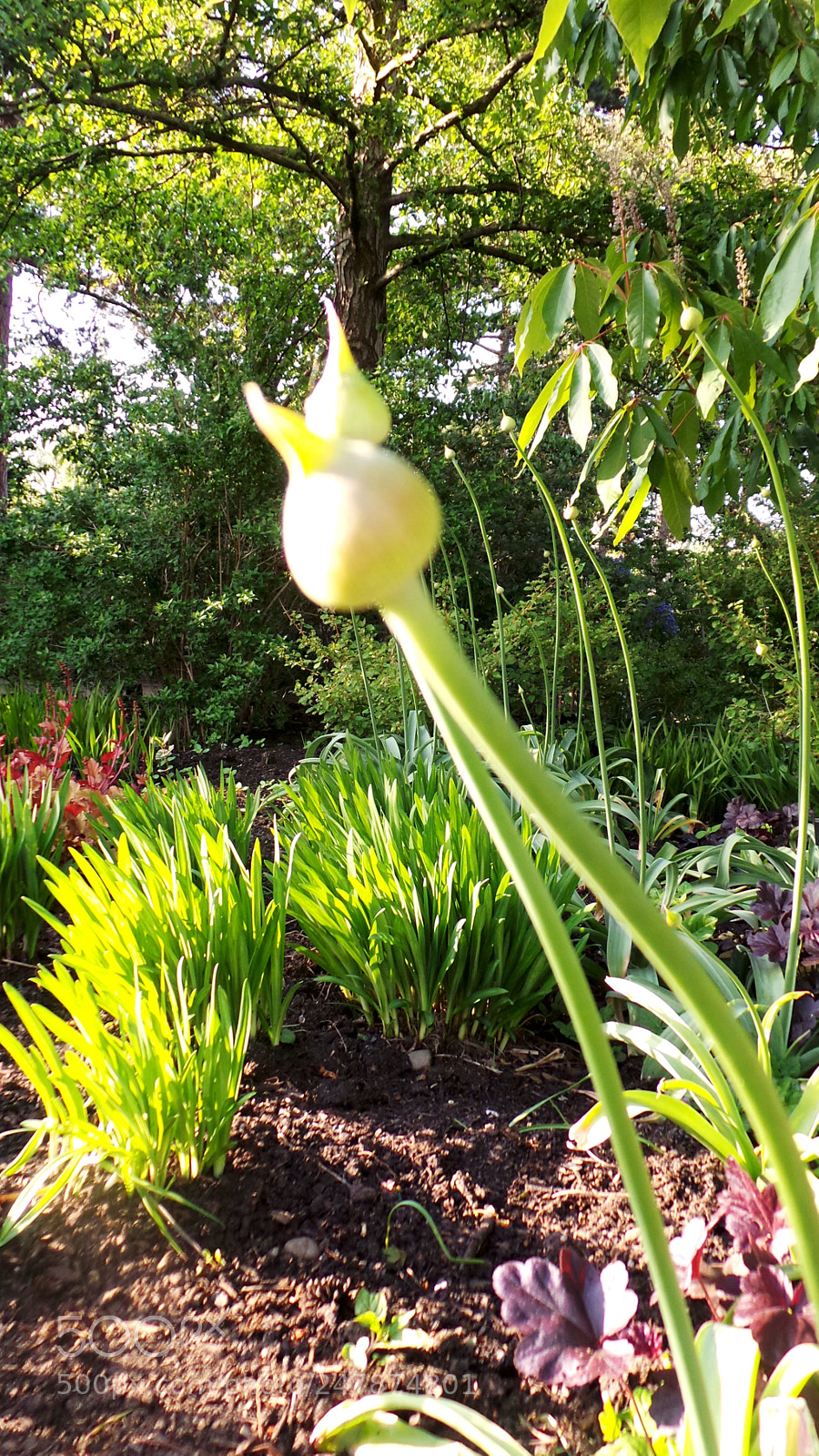 Samsung Galaxy Camera (Wi-Fi) sample photo. Untitled photography