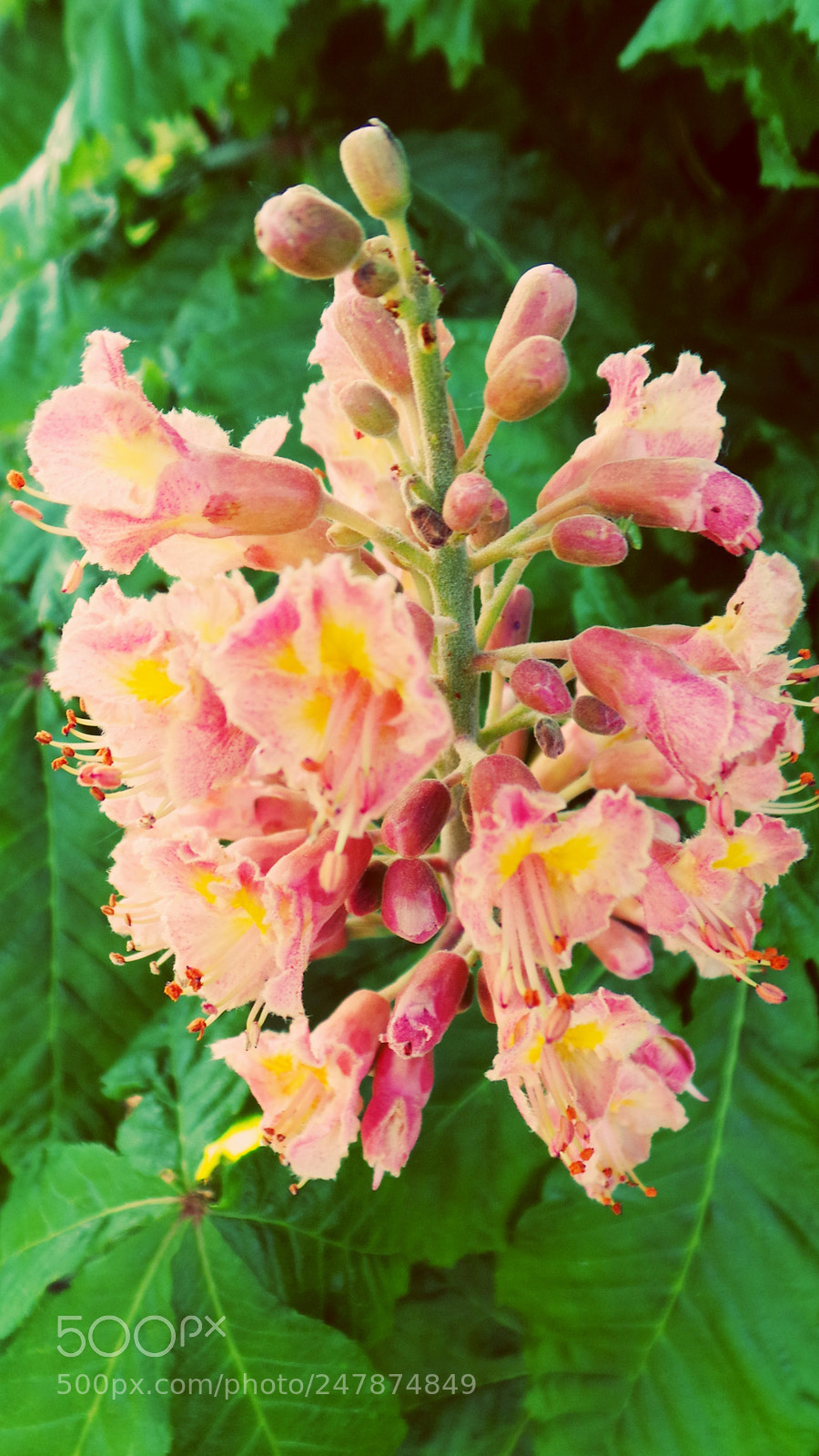 Samsung Galaxy Camera (Wi-Fi) sample photo. Untitled photography