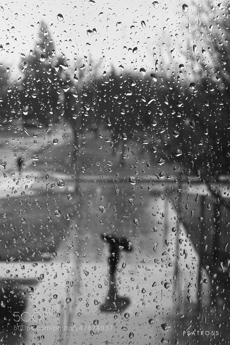 Canon EOS 400D (EOS Digital Rebel XTi / EOS Kiss Digital X) sample photo. Rainy day photography