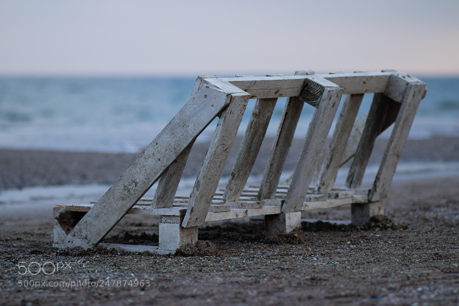 Canon EOS 80D sample photo. Img photography