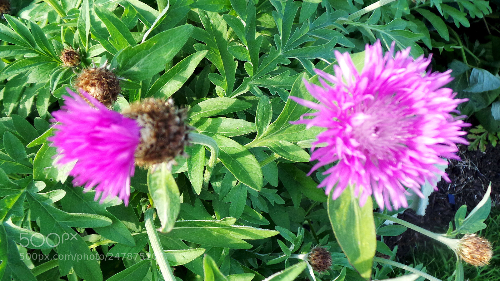 Samsung Galaxy Camera (Wi-Fi) sample photo. Untitled photography