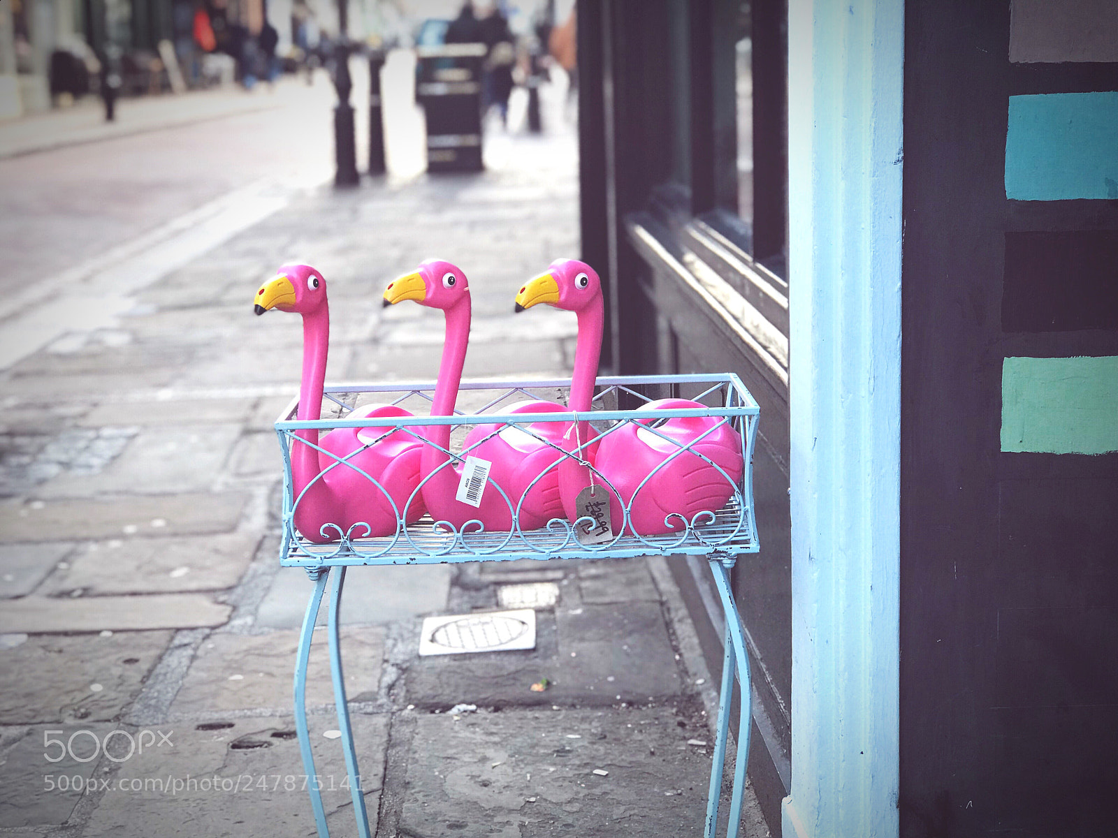 Apple iPhone 7 Plus sample photo. Flamingos photography