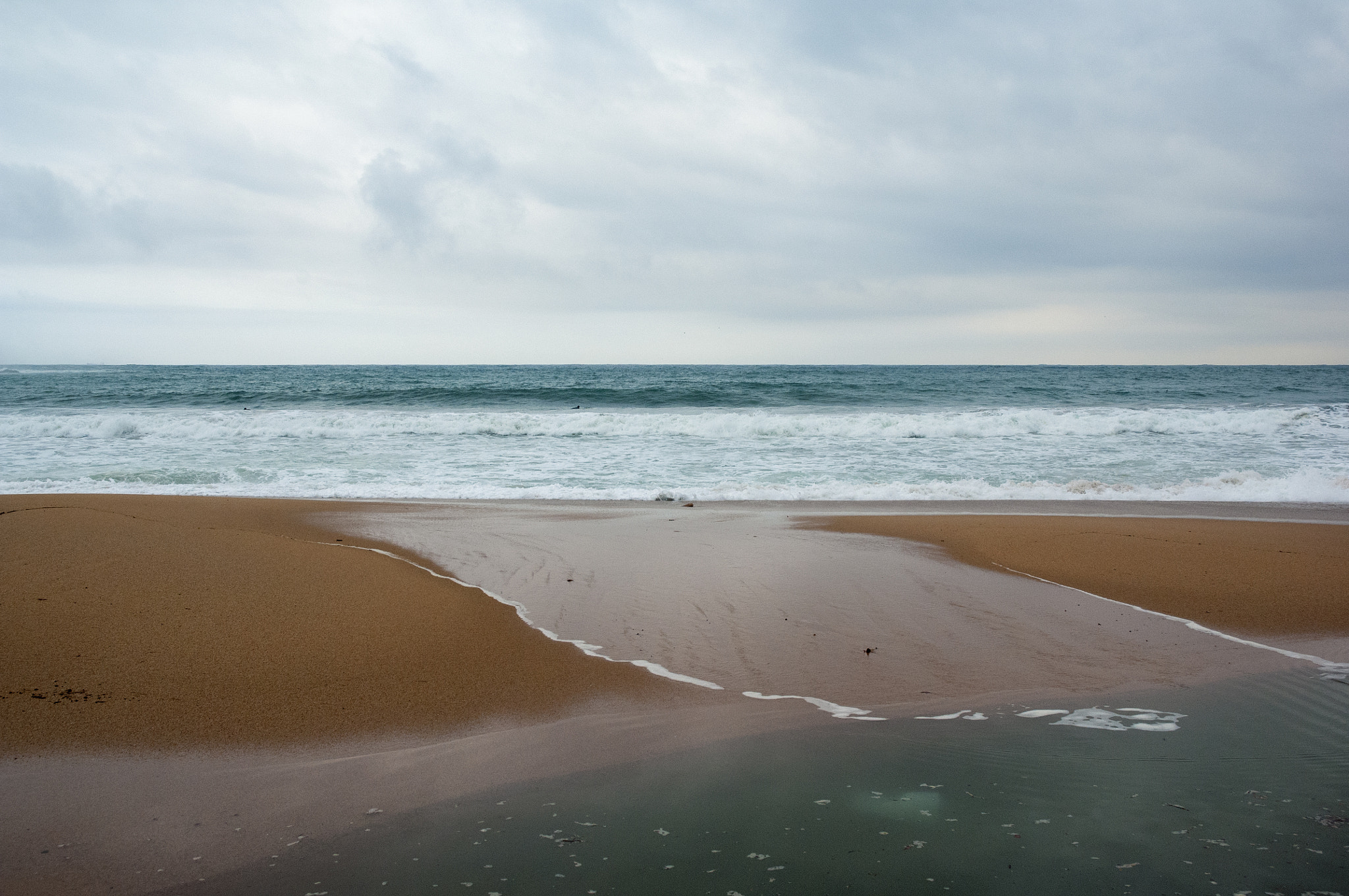 Nikon D2Xs sample photo. Winter beach photography