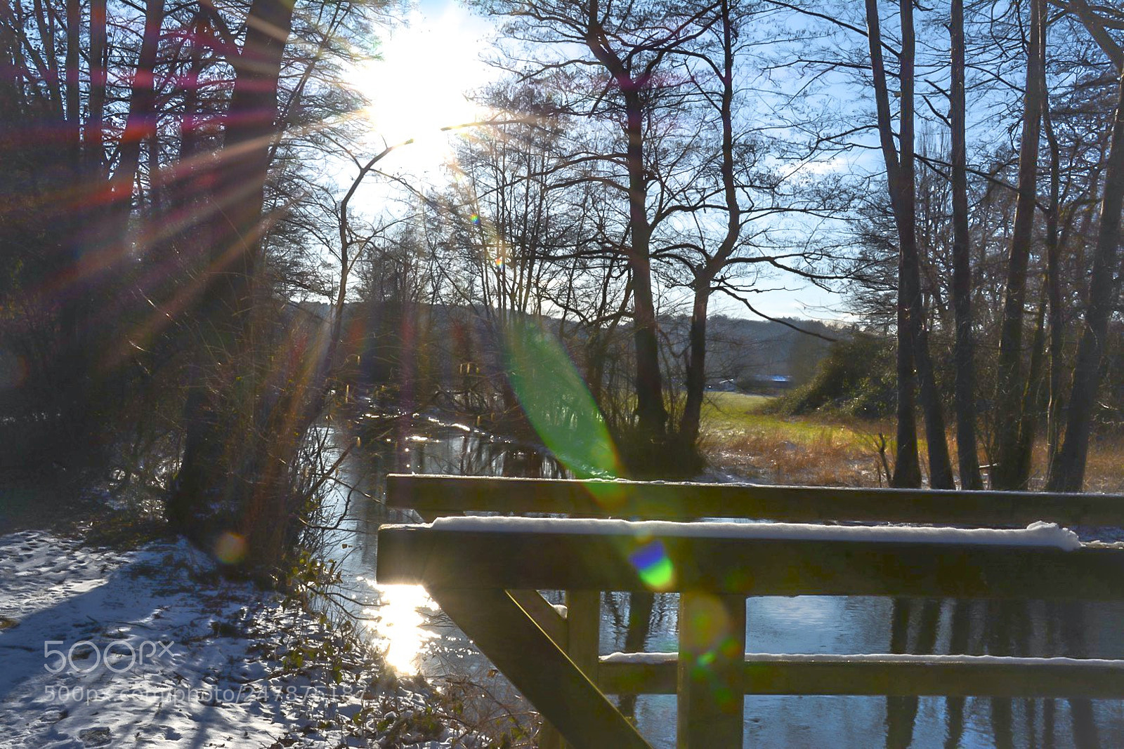Nikon D7100 sample photo. Untitled photography