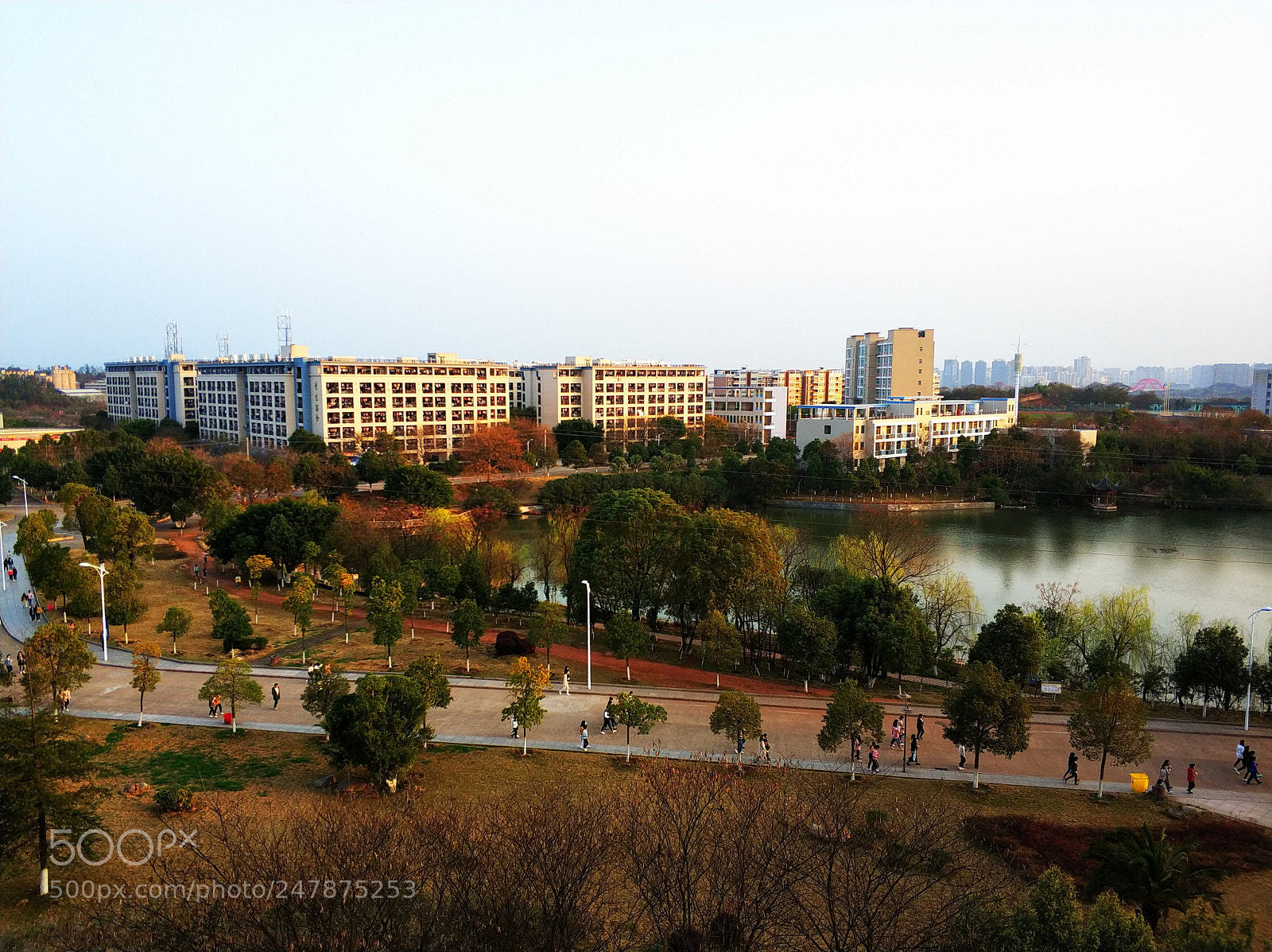 Xiaomi MI6 sample photo. Untitled photography