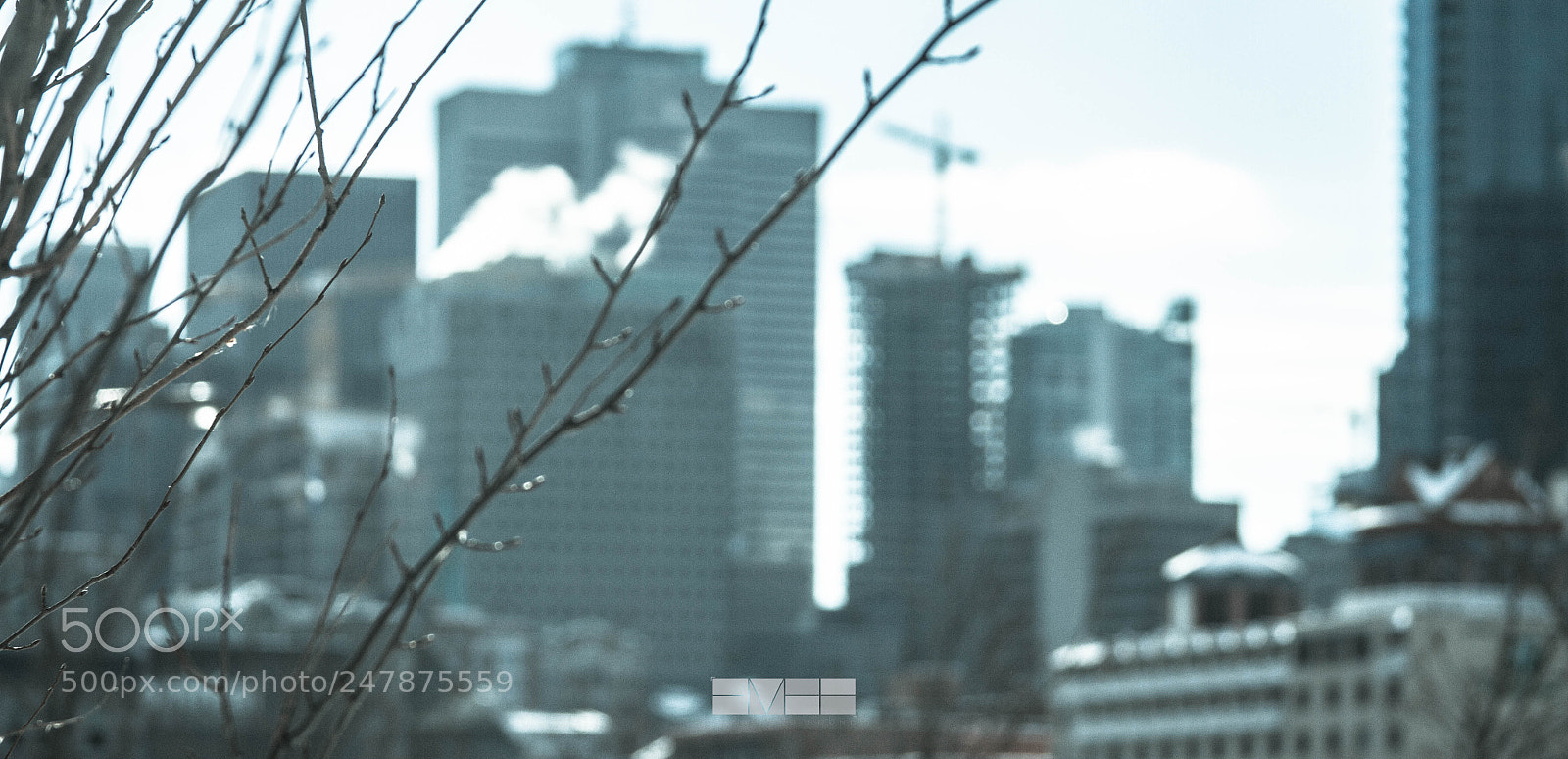Canon EOS 7D sample photo. Img photography