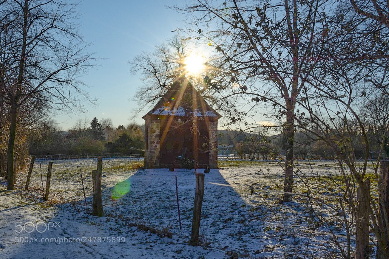 Nikon D7100 sample photo. Untitled photography