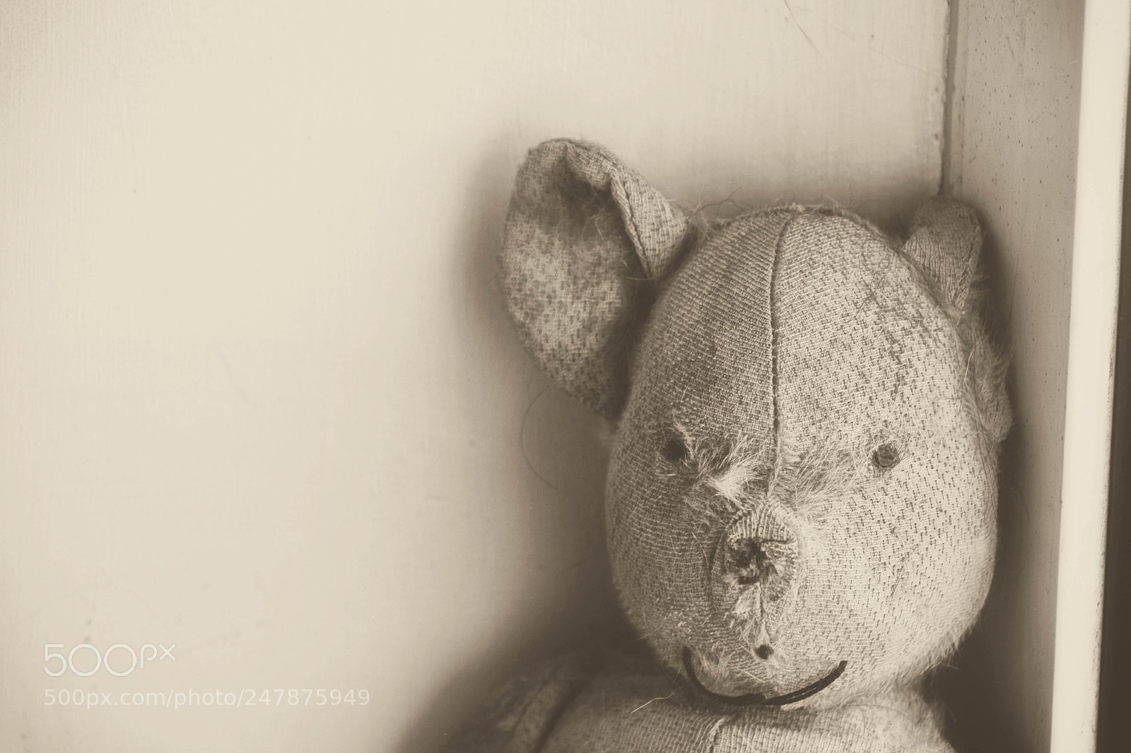 Canon EOS 450D (EOS Rebel XSi / EOS Kiss X2) sample photo. Old teddy bear photography