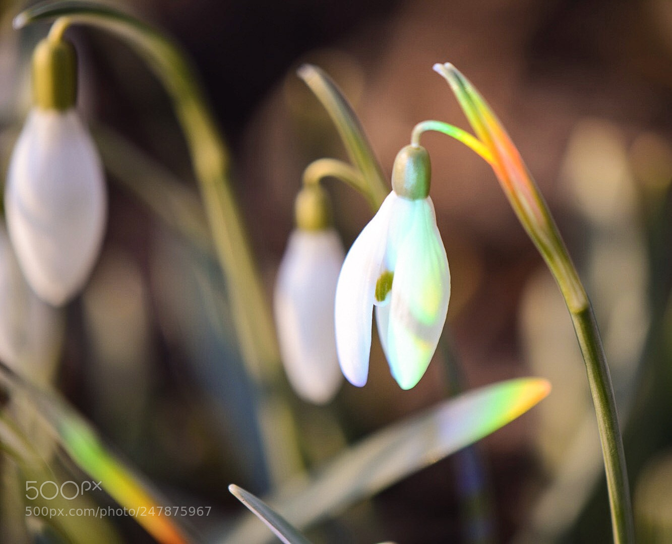 Nikon D7100 sample photo. Untitled photography