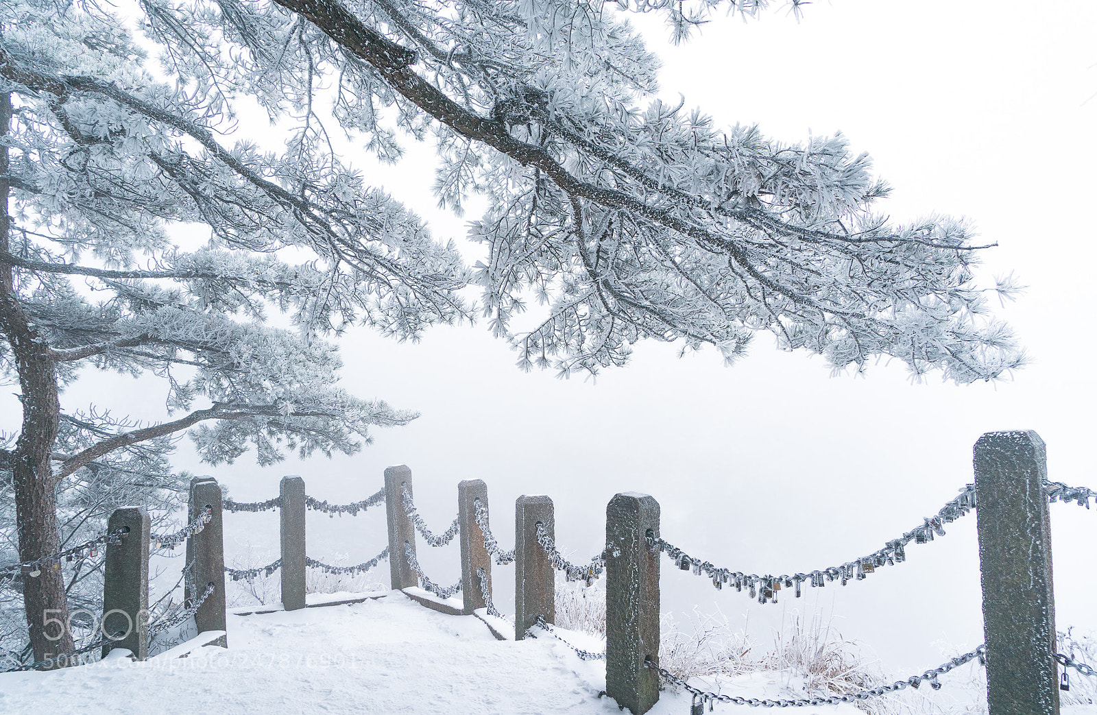 Sony a9 sample photo. Freezing fog - huangshan photography