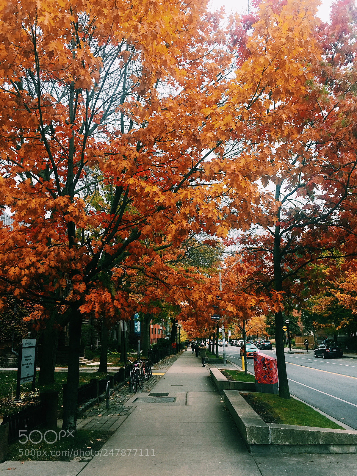 Apple iPhone 6 sample photo. Toronto is orange ... photography