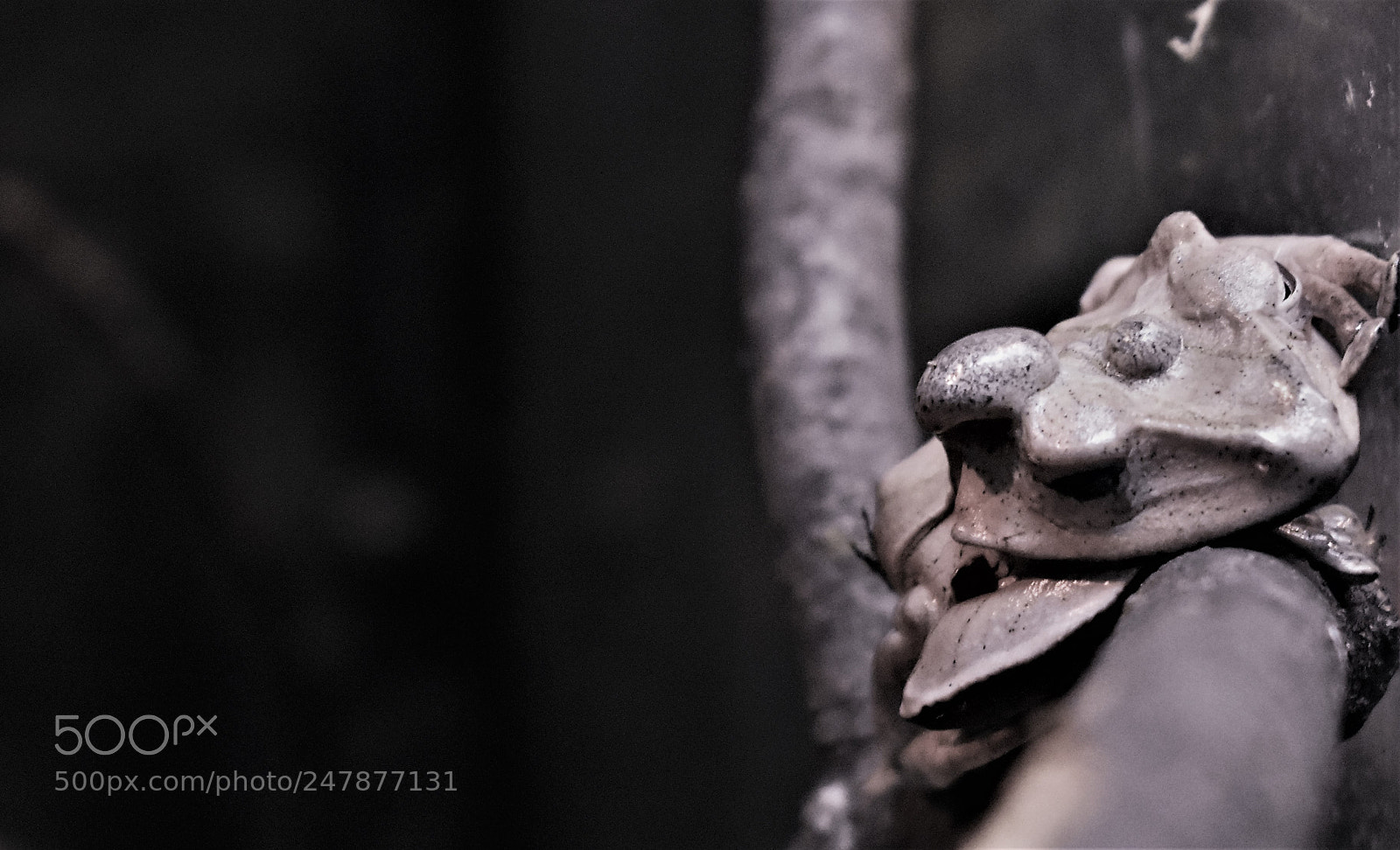 Nikon D5600 sample photo. Lonely photography