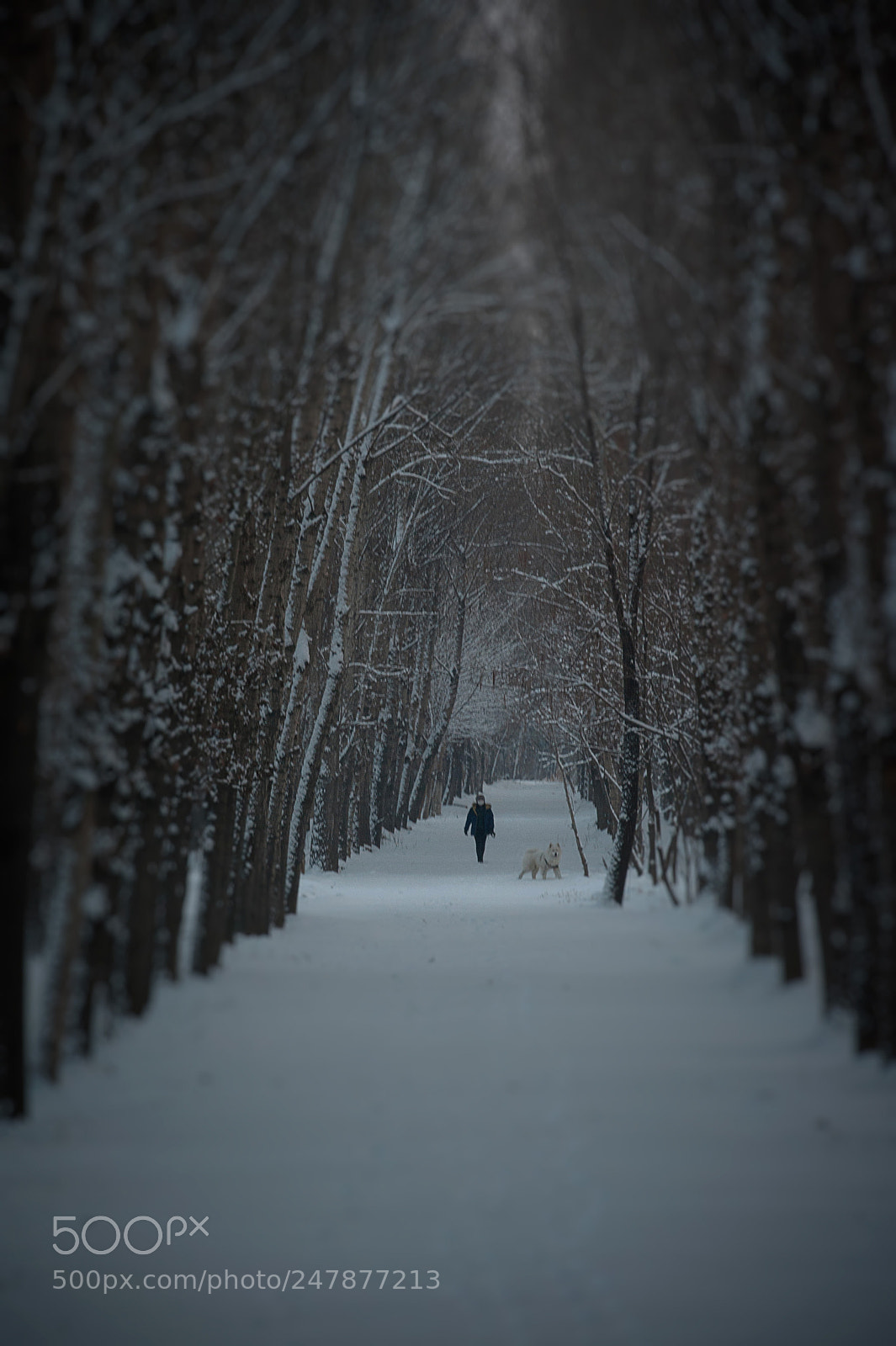 Nikon D700 sample photo. Untitled photography