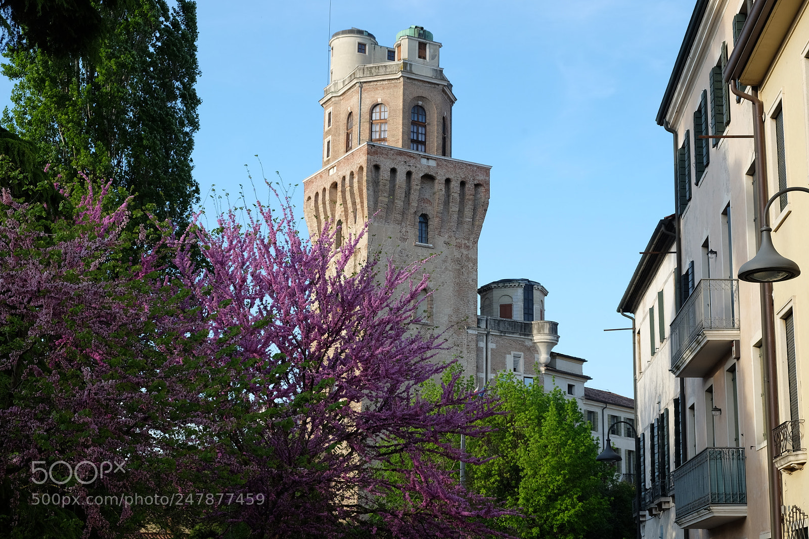 Fujifilm X-T1 sample photo. La specola astronomical observatory photography