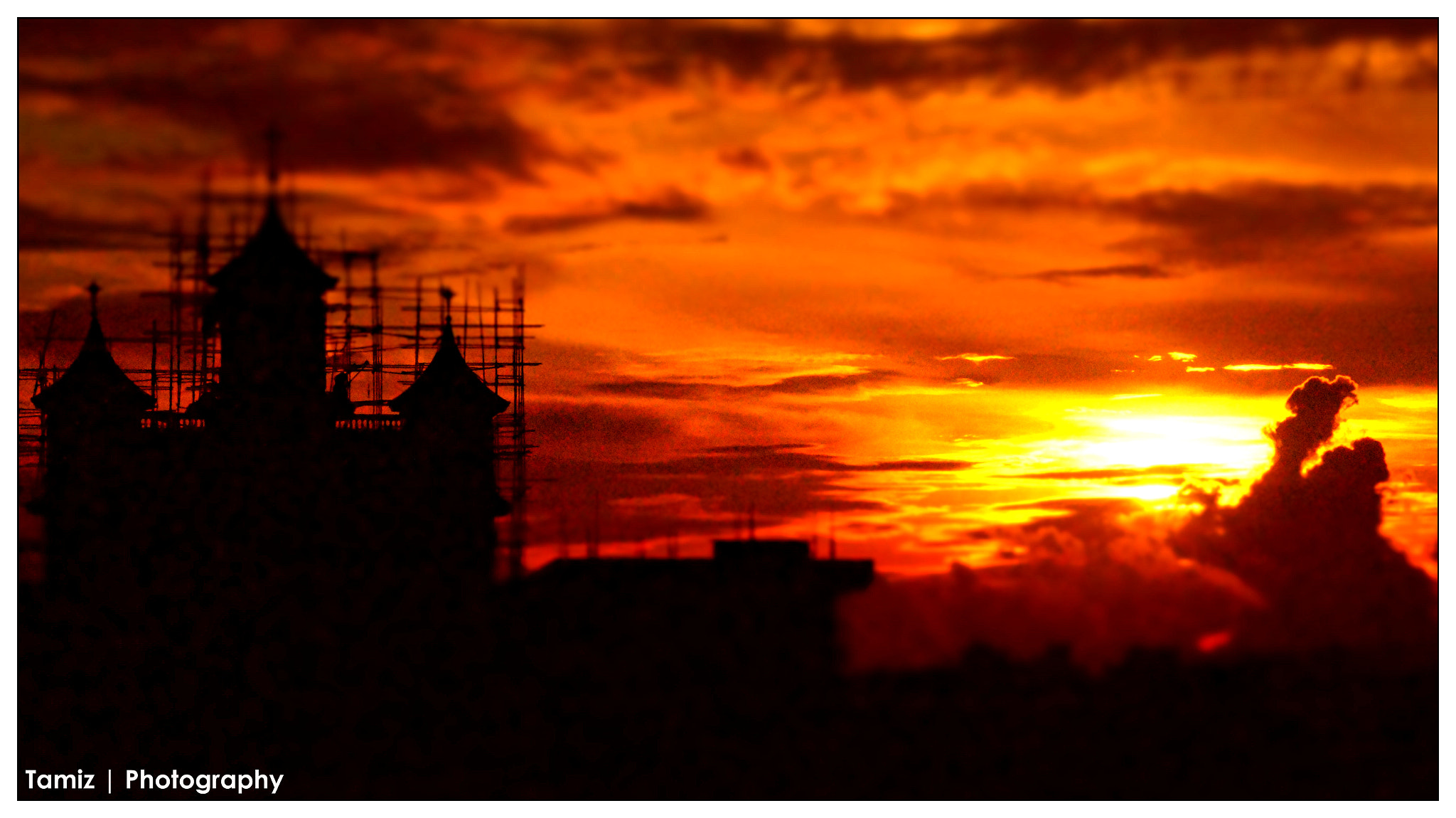 Sony DT 55-200mm F4-5.6 SAM sample photo. Golden hours photography