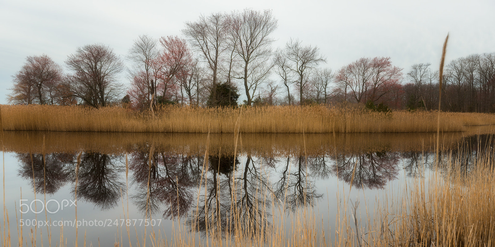 Nikon D800E sample photo. Hidden reflections photography