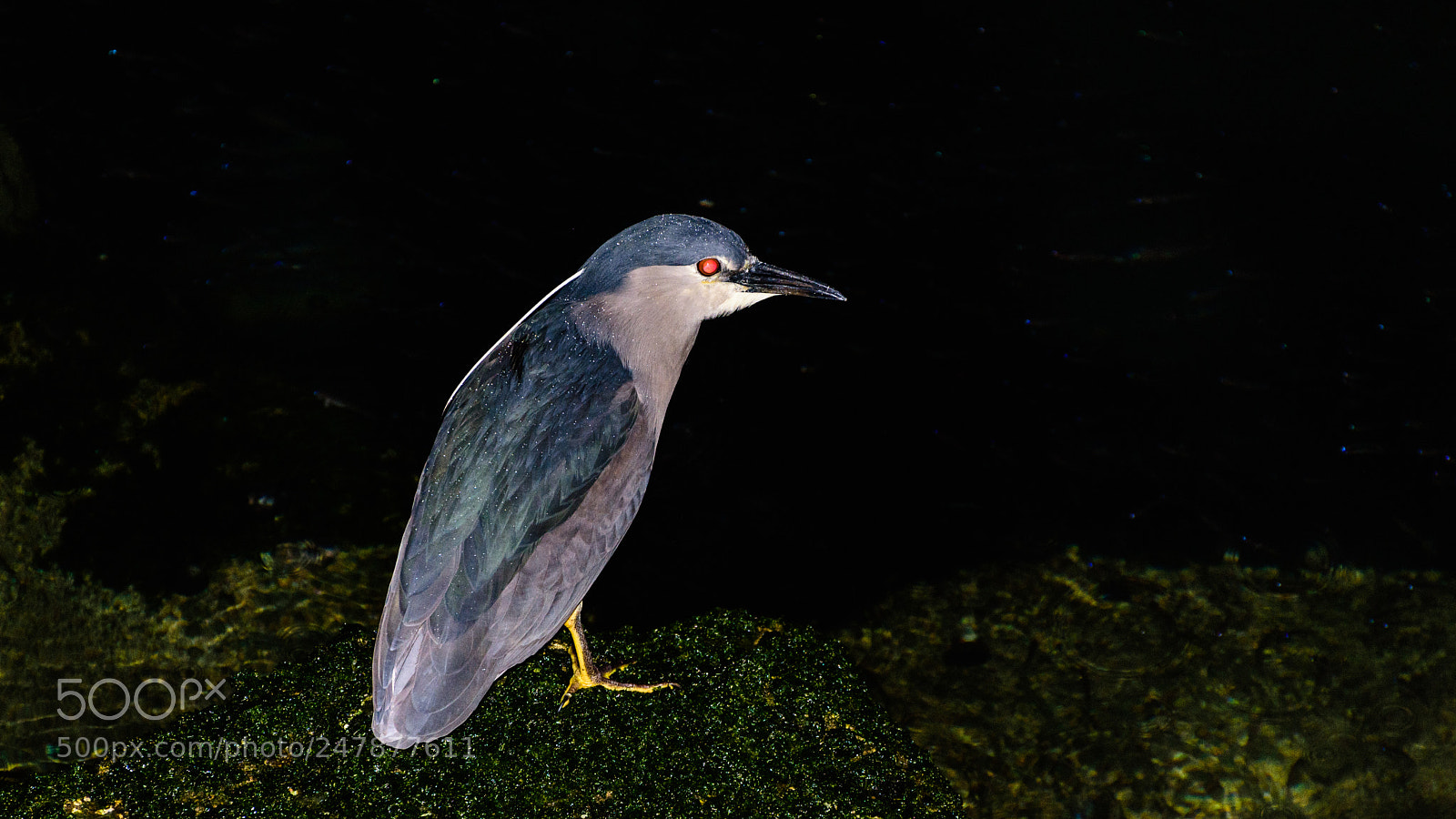 Nikon D7200 sample photo. Pescando photography