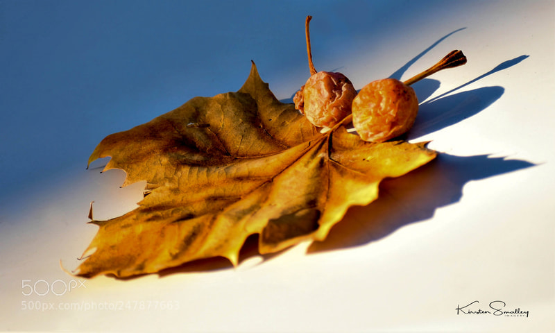 Nikon D3400 sample photo. Untitled photography