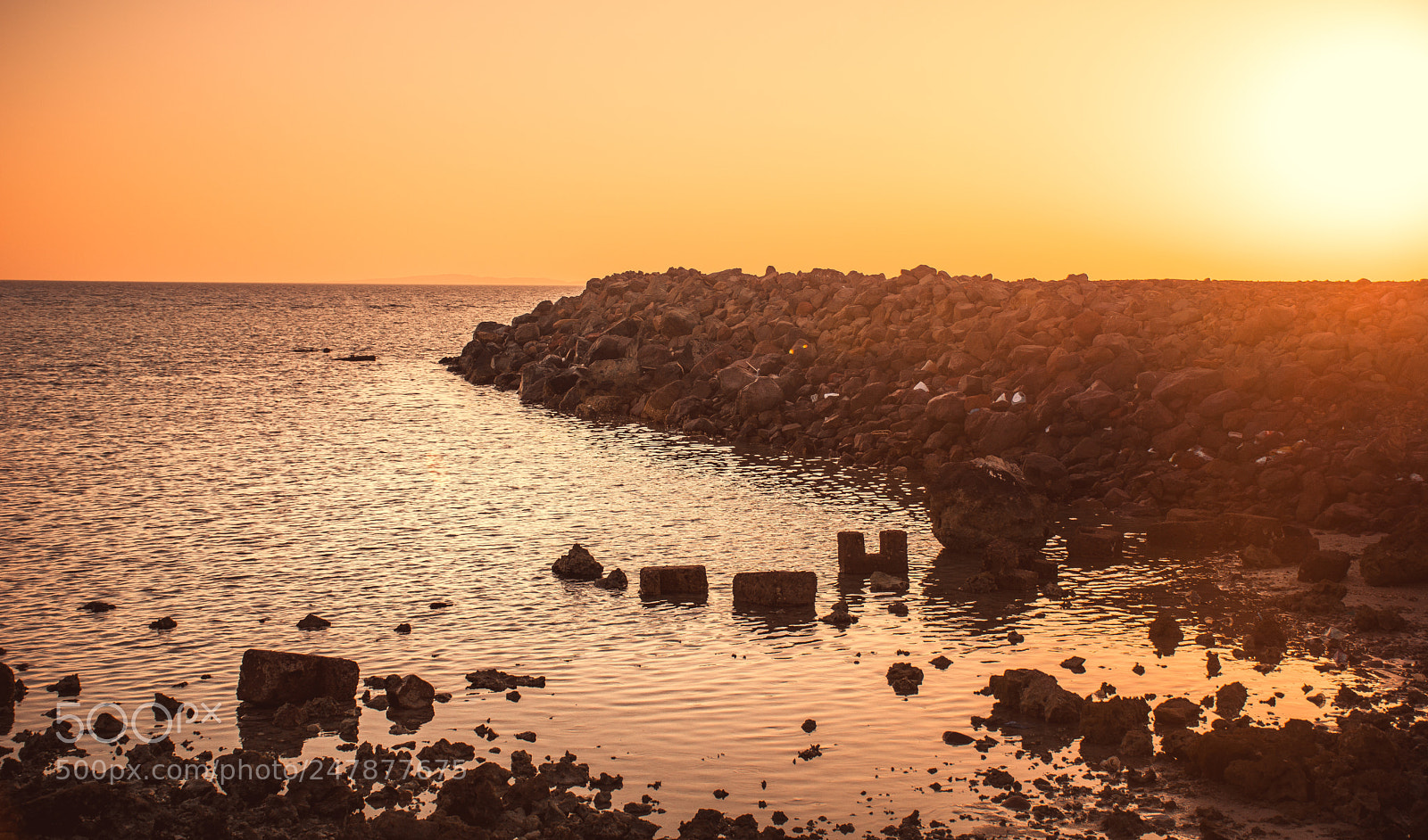 Nikon D7100 sample photo. Hurghda photography
