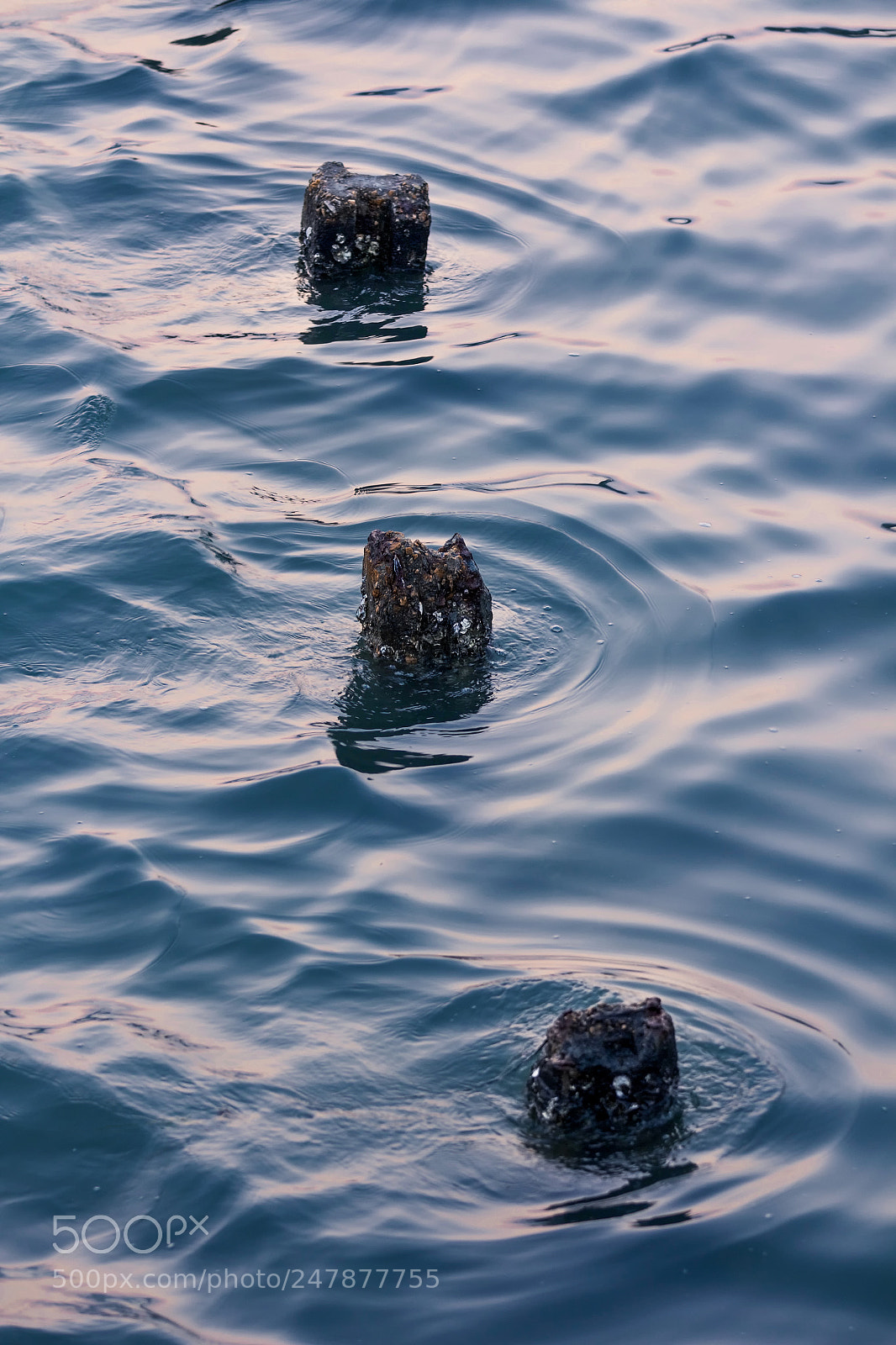Canon EOS 60D sample photo. Wave photography
