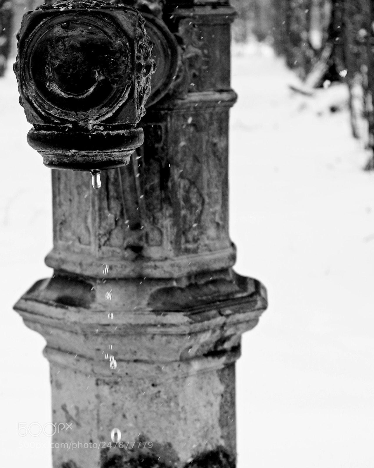 Canon EOS M10 sample photo. Untitled photography