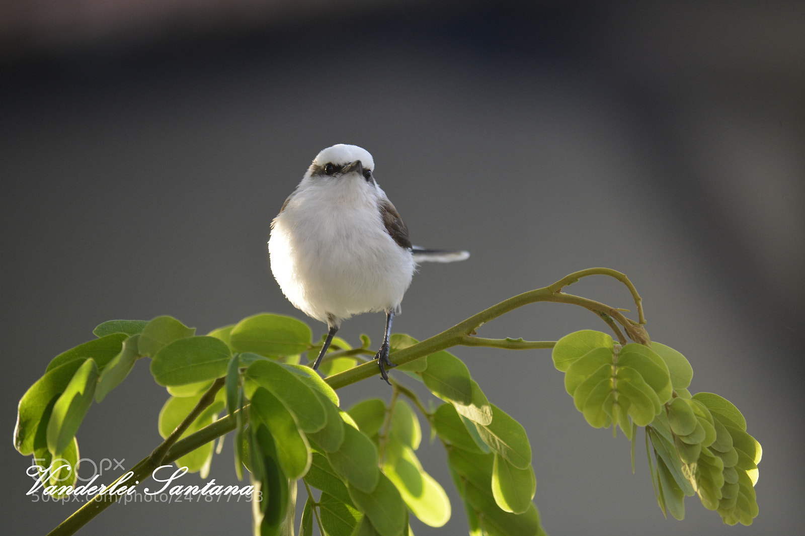 Nikon D7100 sample photo. Untitled photography