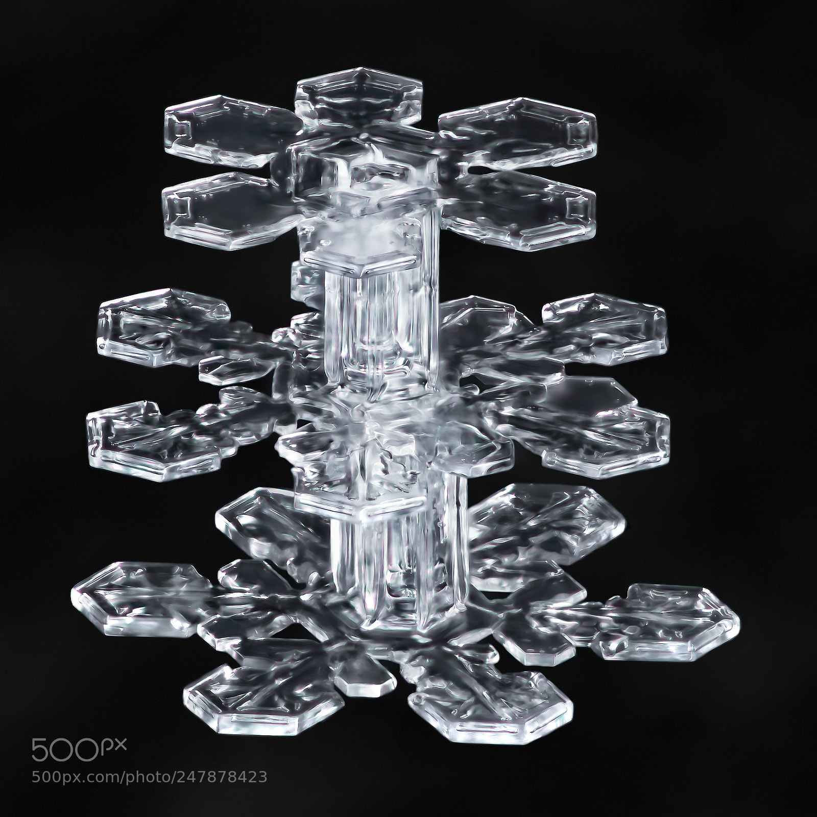Canon EOS-1D X Mark II sample photo. Snowflake-a-day no. 58 photography