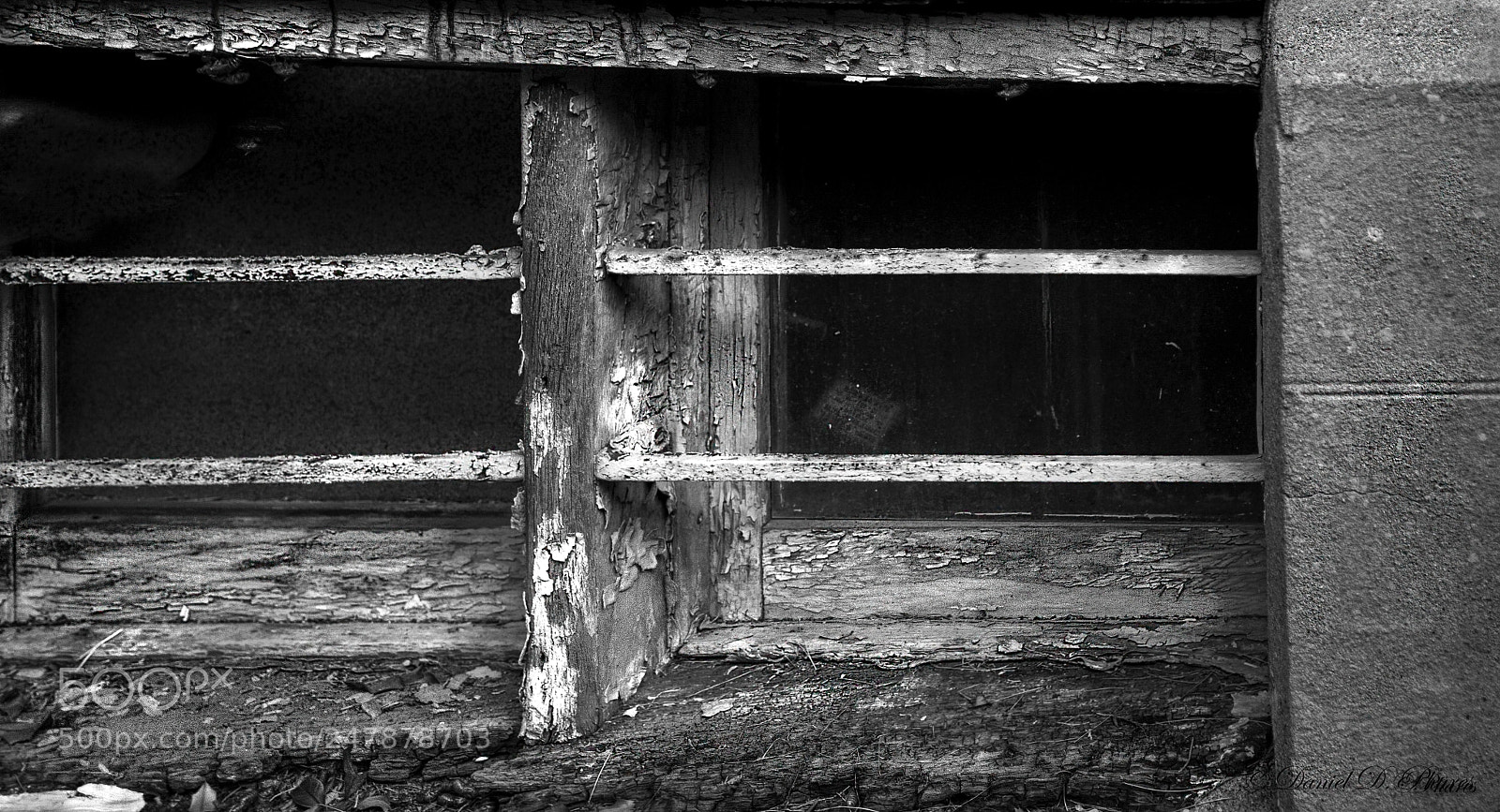 Nikon D7100 sample photo. My world of light photography