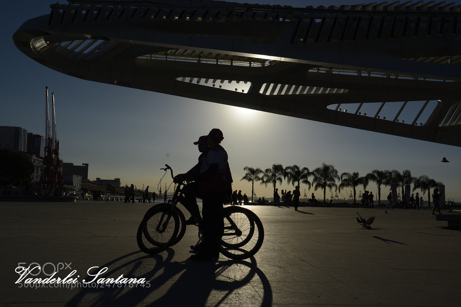 Nikon D7100 sample photo. Untitled photography