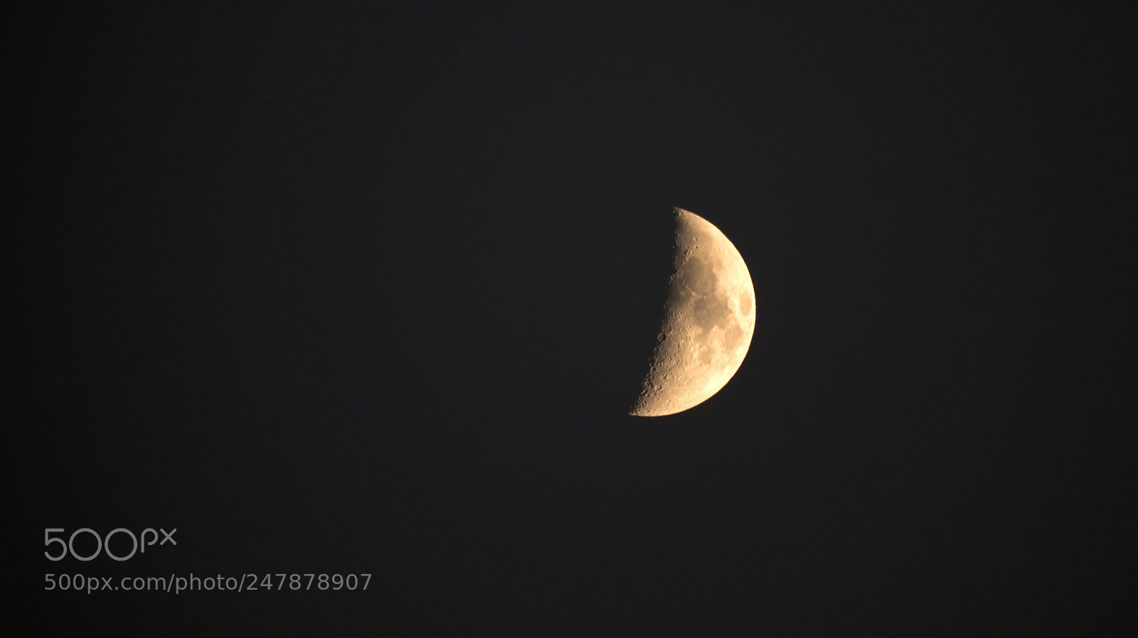 Olympus OM-D E-M1 Mark II sample photo. Untitled photography
