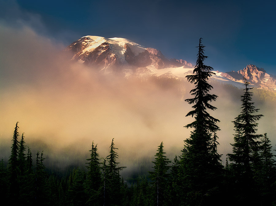 Pentax 645D sample photo. Fog trees and mt. rainier. mt. rainier national park, washington photography