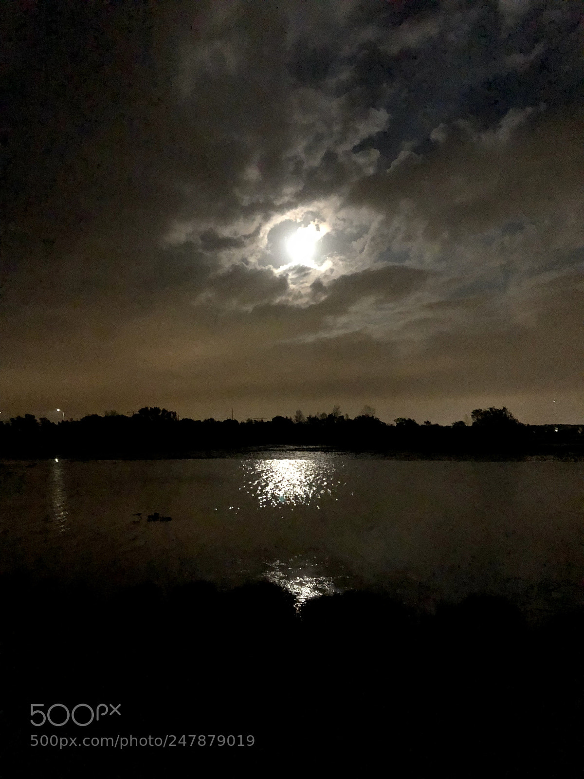 Apple iPhone 8 Plus sample photo. Untitled photography