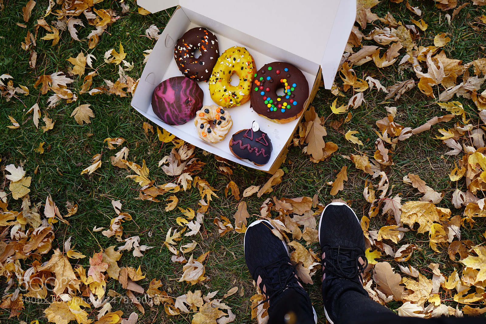Sony a7 II sample photo. Donuts photography