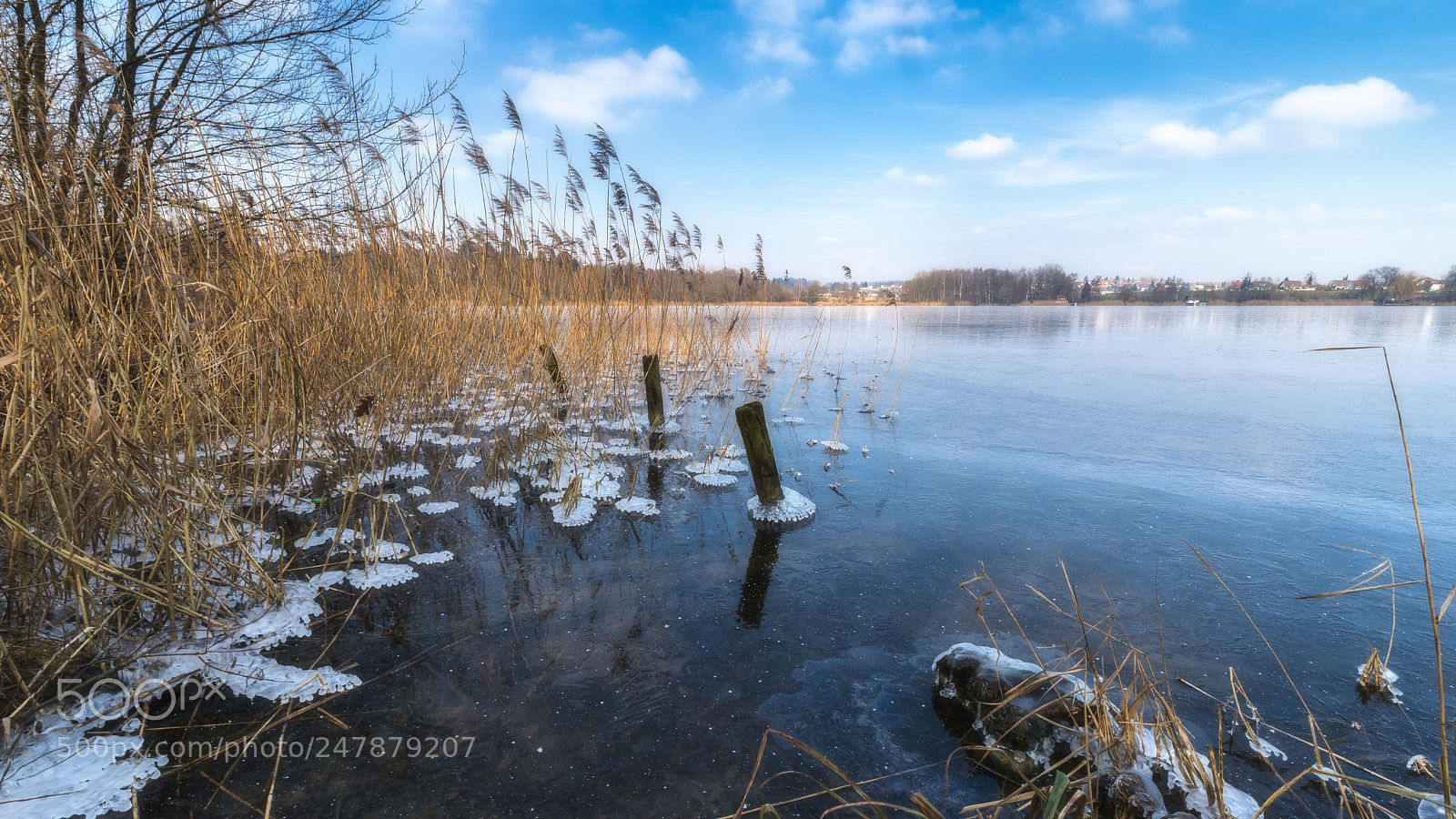 Nikon D610 sample photo. Untitled photography