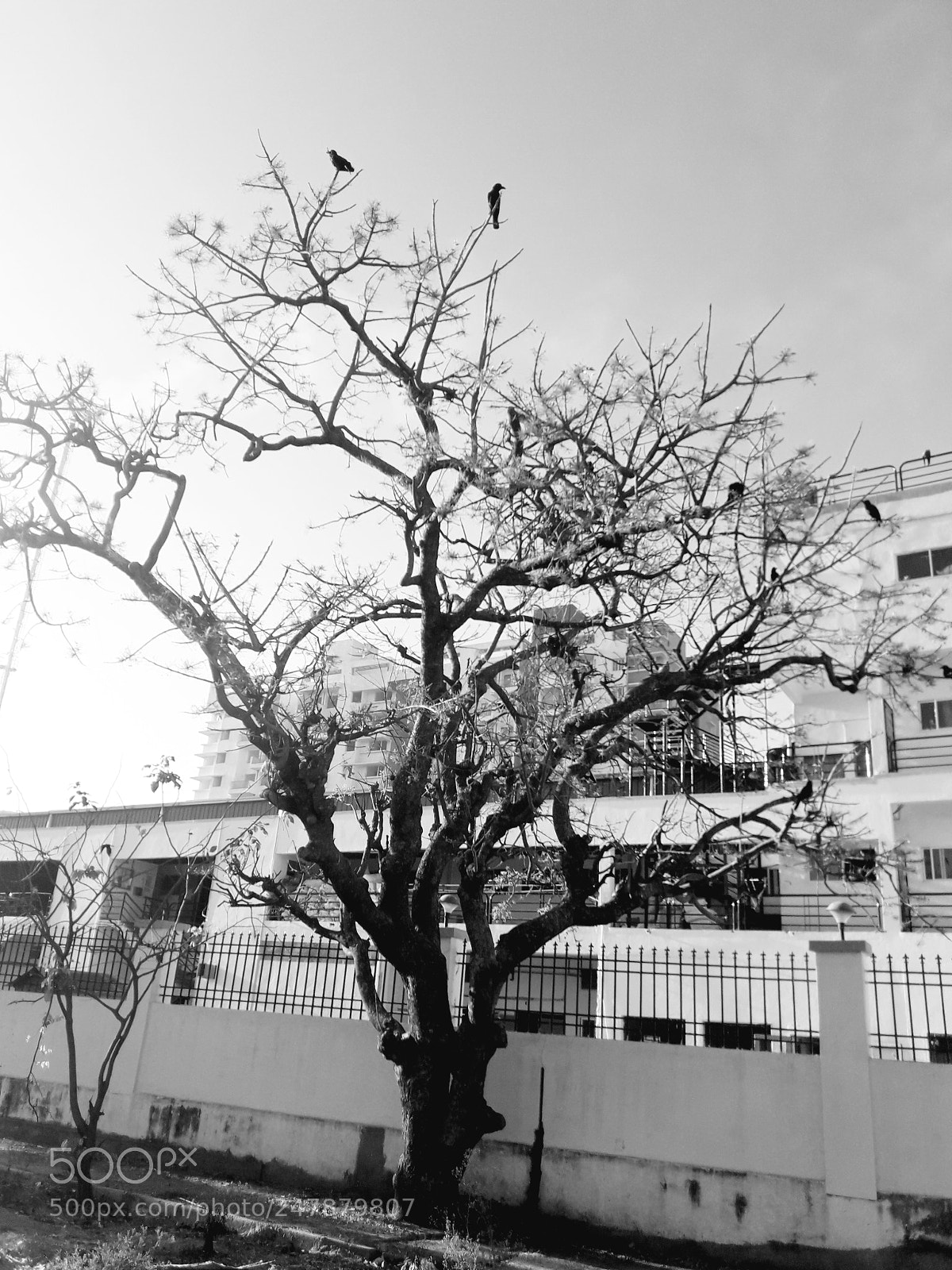 Samsung Galaxy J7 Neo sample photo. Untitled photography