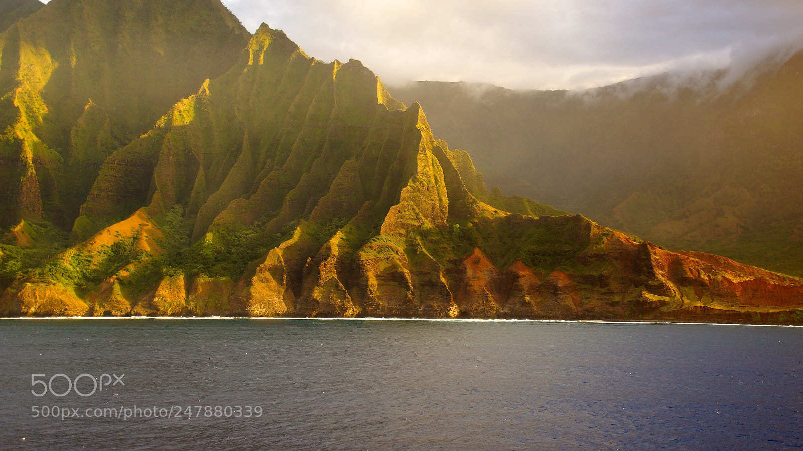 Sony SLT-A77 sample photo. Napili photography