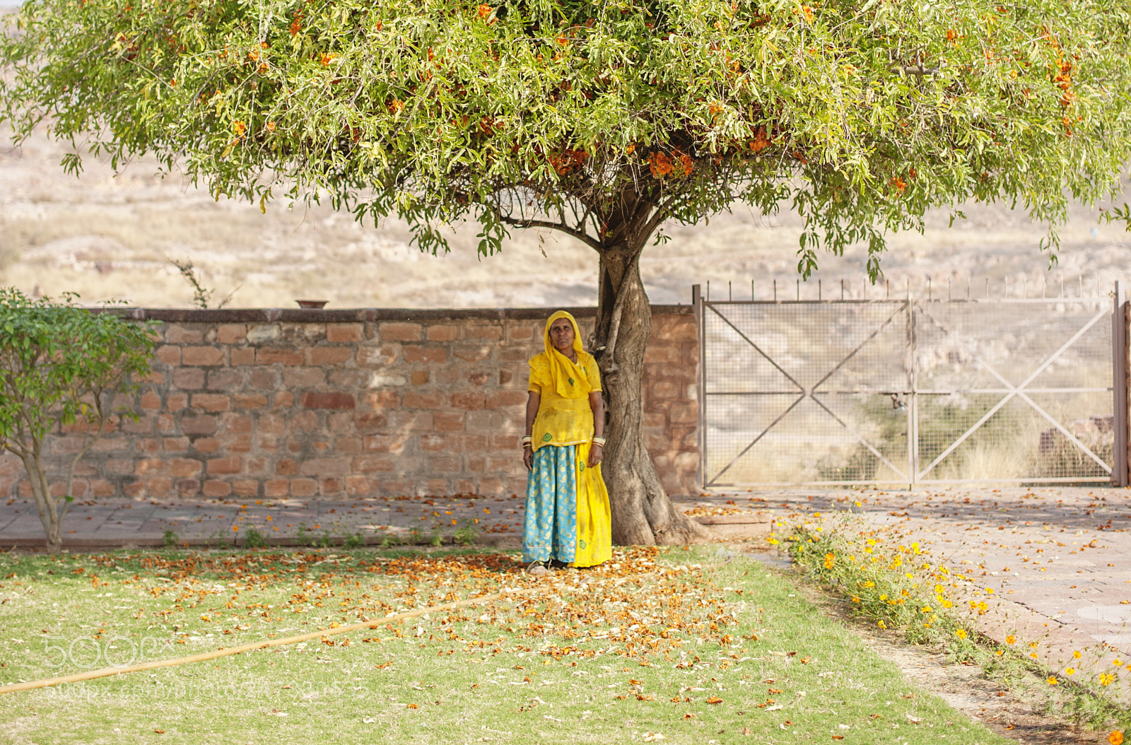 Nikon D700 sample photo. Lady in yellow photography