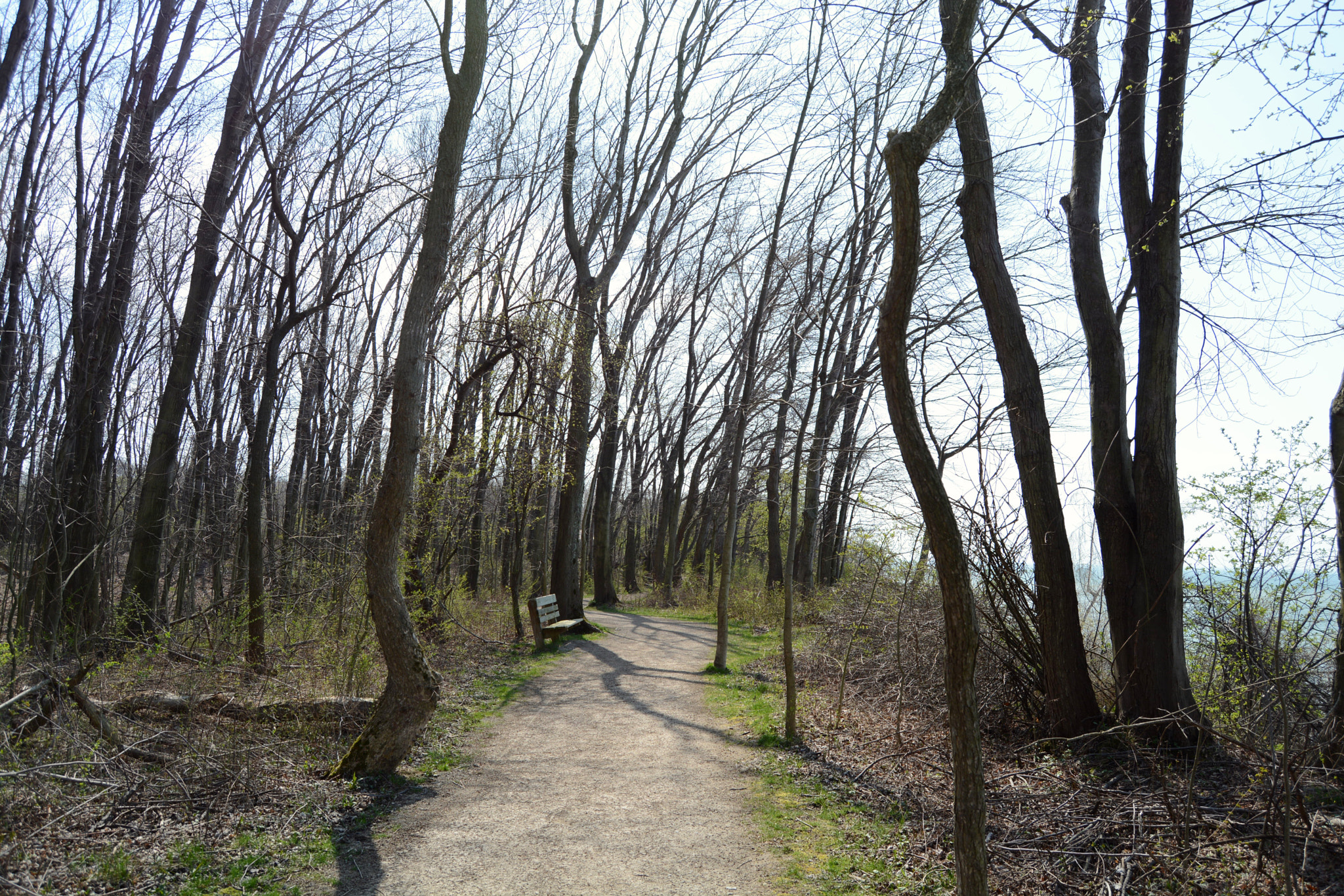 Nikon D5200 sample photo