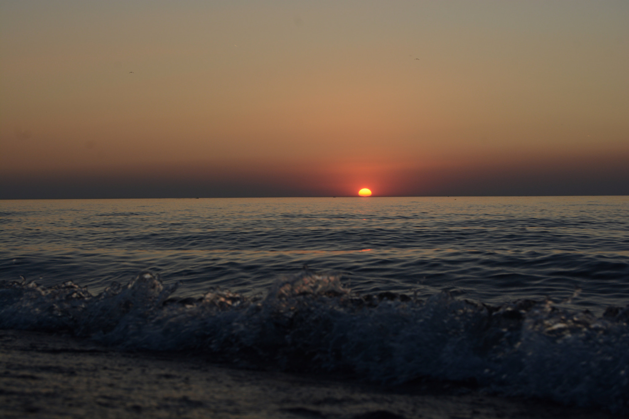 Nikon D5200 sample photo