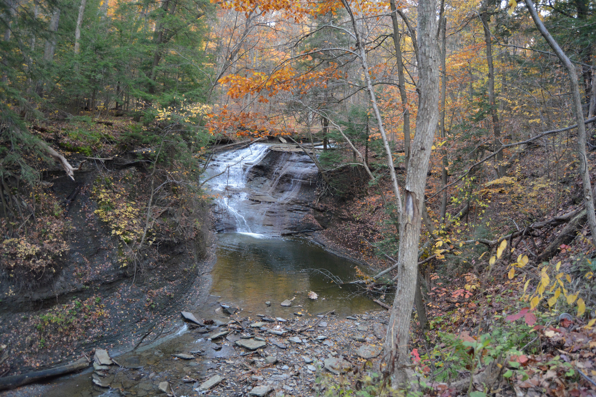 Nikon D5200 sample photo